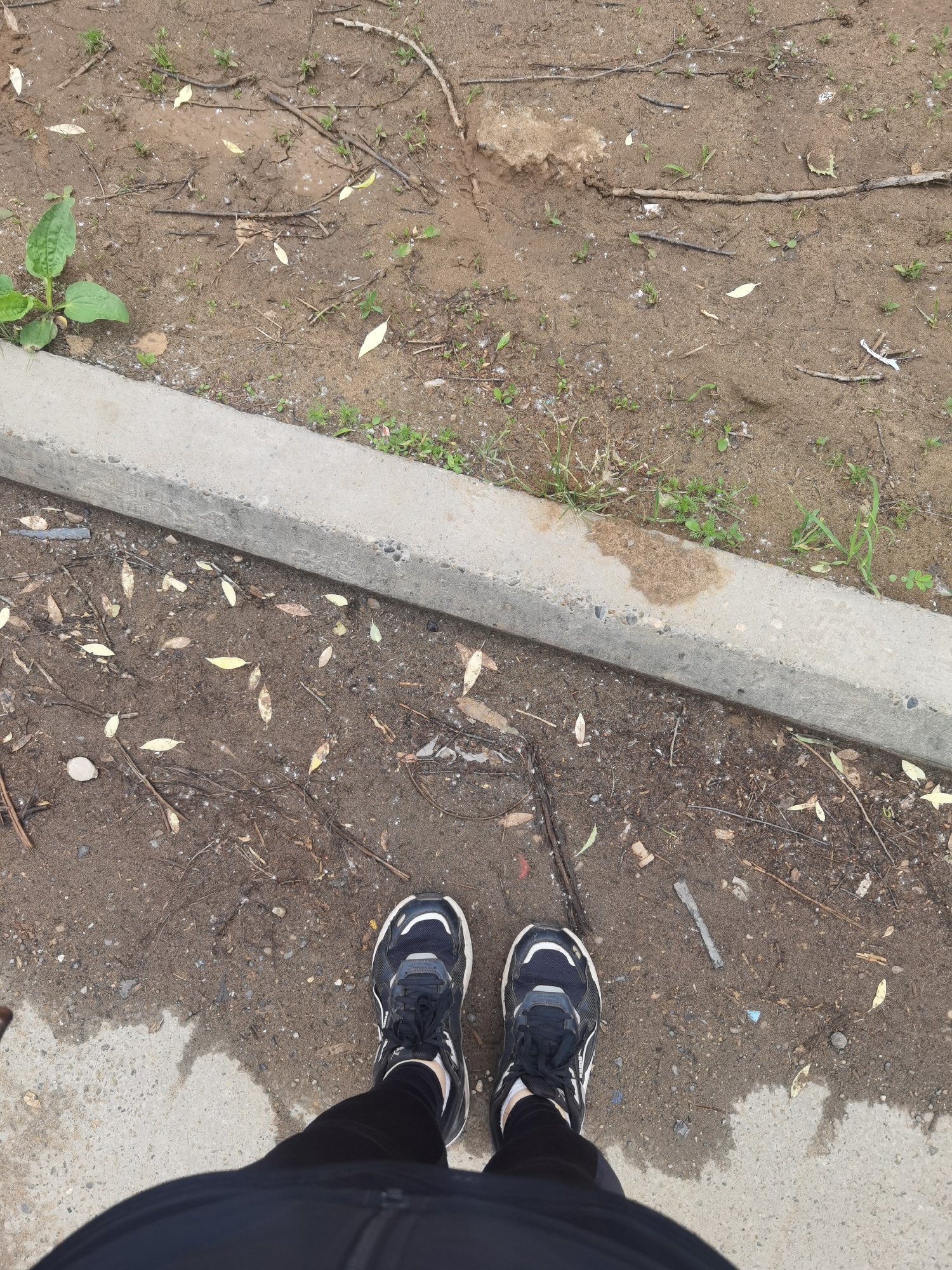 The image provides a top-down perspective of a person's lower legs and feet, standing on a damp, dark grey paved surface. The individual is wearing black athletic pants and black athletic shoes with white soles and grey accents. A light grey concrete curb diagonally traverses the mid-ground, separating the paved area from an adjacent unpaved section of moist, dark brown soil. This soil contains sparse green vegetation, scattered pale yellow and brown fallen leaves, twigs, and small pieces of debris. Several small puddles or wet patches are visible in the dirt, indicating recent moisture. The scene is an outdoor setting in Chaikovsky, Russia, depicting a transition from a paved path to an unmaintained natural ground area.