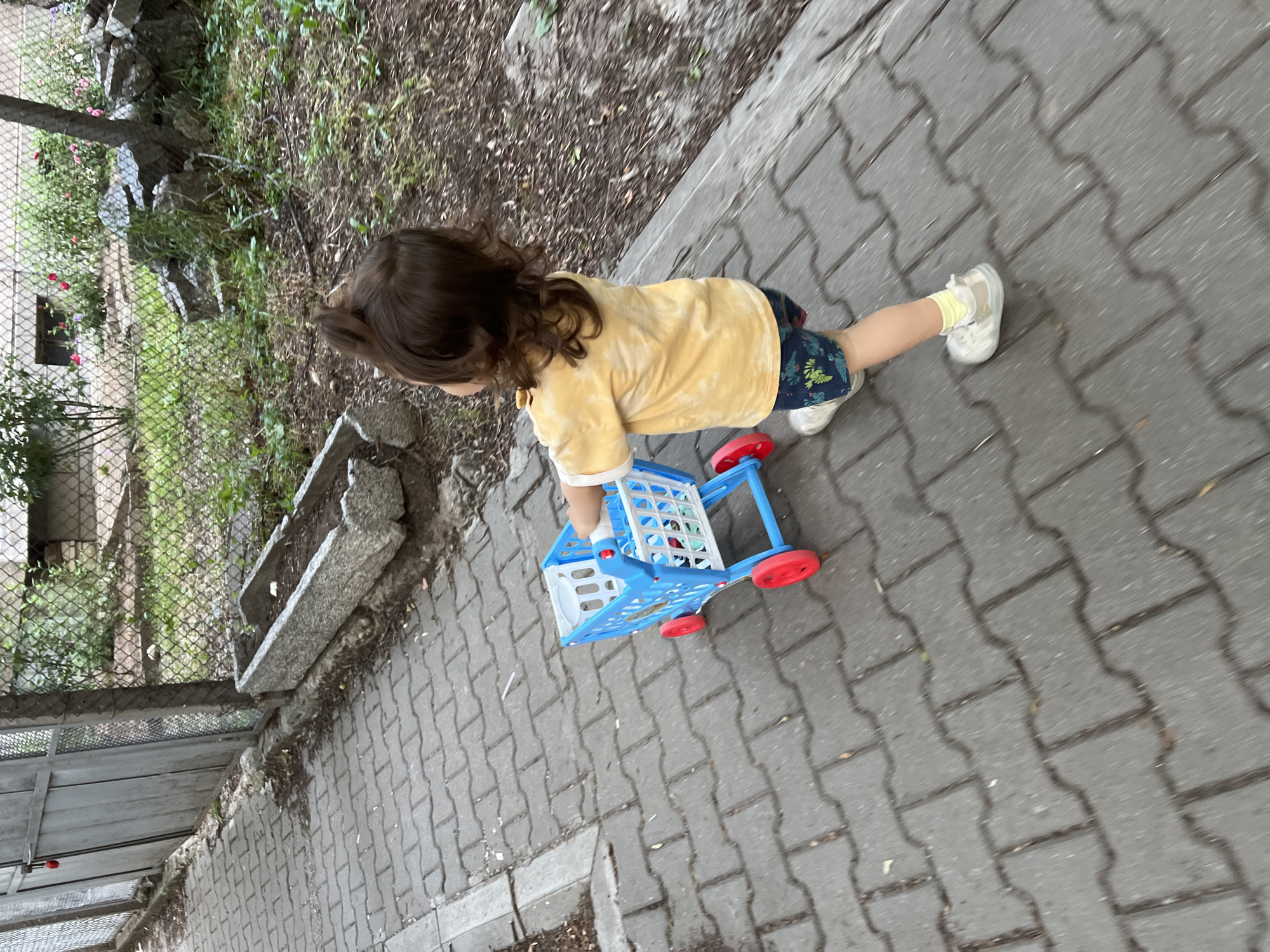 A young child with dark hair is walking on a paved pathway while pushing a blue and white toy shopping cart with red wheels. The child is wearing a yellow tie-dye t-shirt and patterned shorts. The pathway appears to be made of interlocking grey pavers. In the background, there is a chain-link fence with a metal gate on the left, and a garden area with greenery and some rocks. The overall setting suggests an outdoor urban or suburban environment, possibly a yard or park. The image does not provide specific details to confirm the location as Sofia, Bulgaria.