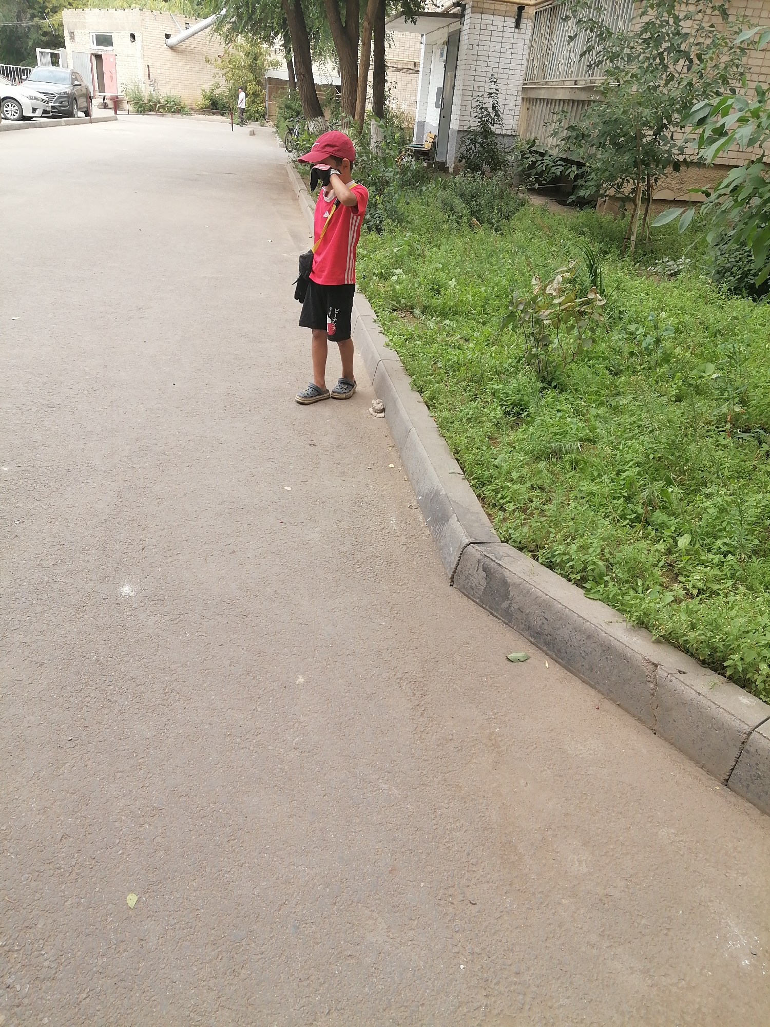 Memory