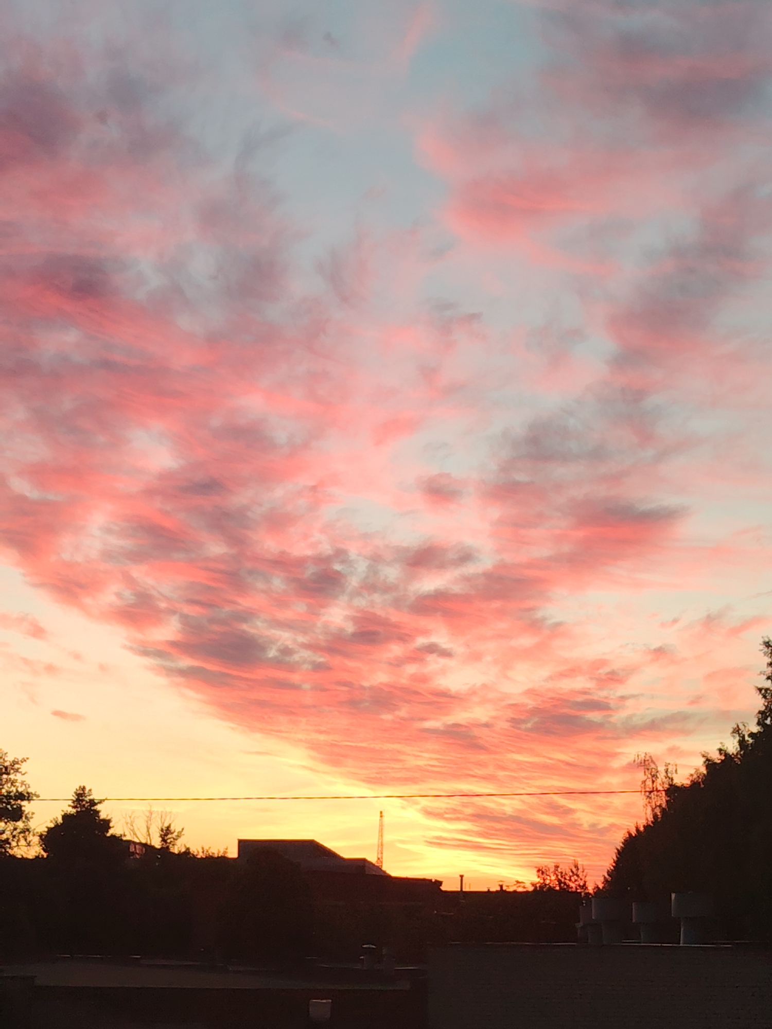 The image presents a striking sunset or sunrise over a silhouetted landscape, possibly in Chaikovsky, Russia. The sky is the dominant subject, filled with vibrant, streaky clouds that display a gradient of colors. The top of the sky features soft blue-grey tones, which transition downwards into rich pinks, fiery oranges, and deep rose hues, especially towards the horizon. Some clouds also exhibit darker, purplish-grey undertones, adding depth to the aerial spectacle.
Below the dramatic sky, the foreground is rendered in a dark silhouette. This includes a line of trees, both dense and sparse, stretching across the horizon. Visible among the trees are the dark shapes of several buildings with distinct rooflines. On the left side of the silhouette, a tall, slender structure, possibly a crane, stands out against the bright horizon. A thin, dark horizontal line, likely a power or utility cable, cuts across the middle of the image, positioned just above the silhouetted landscape.
The time of day is clearly either sunset or sunrise, characterized by the intense, warm light illuminating the clouds from below and casting the landscape into silhouette. There are no people or specific activities depicted. The scene evokes a sense of natural beauty and tranquility. There is no visible text in the image.