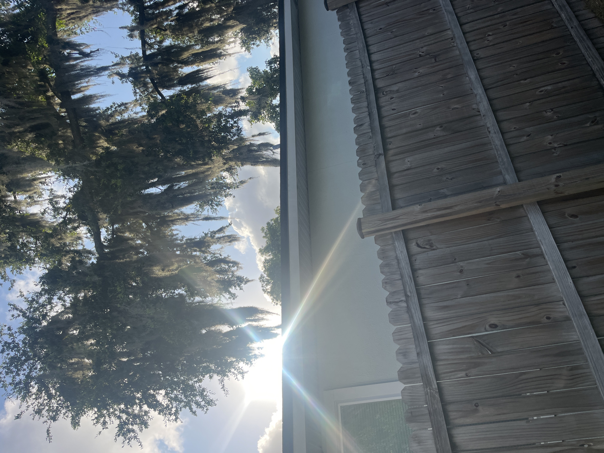 This image captures a scene in Jacksonville, Florida, USA, dominated by the dramatic interplay of sunlight and nature. A mature tree, heavily adorned with Spanish moss, hangs over the edge of a light-colored building, its branches forming a dense canopy against a bright blue sky dotted with scattered clouds. The sun is low in the sky, creating a lens flare effect that streaks across the image, illuminating the scene with a warm, ethereal glow. The foreground is occupied by a wooden fence, constructed from vertical planks and horizontal support beams, adding a rustic element to the composition. The fence is weathered, showing signs of age and exposure to the elements. The perspective suggests the photo was taken from a slightly elevated position, looking upwards towards the trees and the building. No people are visible in the frame.