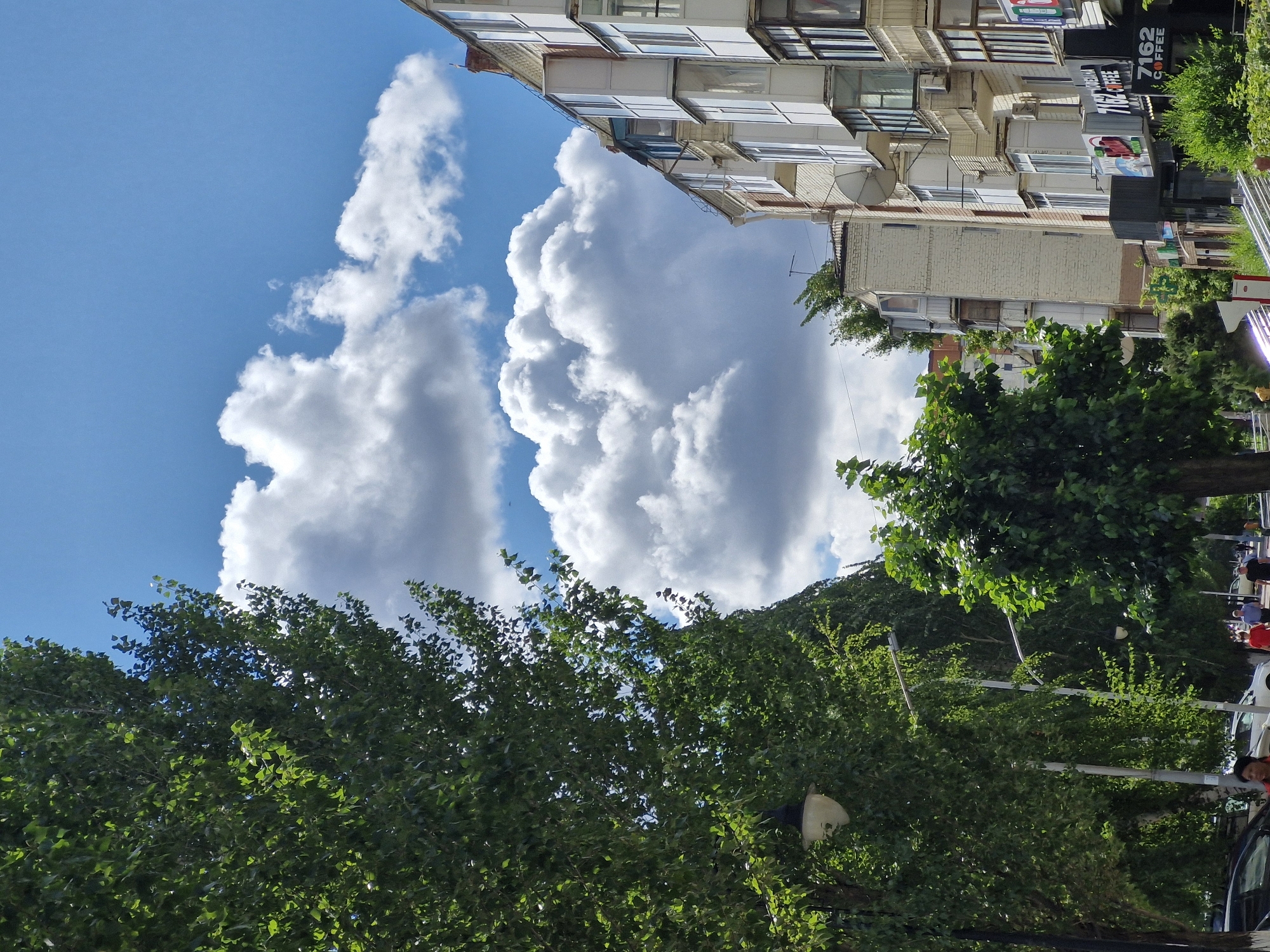 The image depicts a street scene in the city of Kokshetau, Kazakhstan, on a bright, partly cloudy day. A dense canopy of green trees lines the left side of the street, with a street lamp visible amidst the foliage. Beyond the trees, a multi-story apartment building with a beige facade and numerous balconies, many enclosed with glass, rises on the right. The sky is a vibrant blue, punctuated by large, fluffy white clouds. Down the street, pedestrians can be seen walking, and cars are parked along the side. Several commercial storefronts are visible at the base of the apartment building, including one labeled "7162 COFFEE." The overall impression is a sunny day in an urban environment.