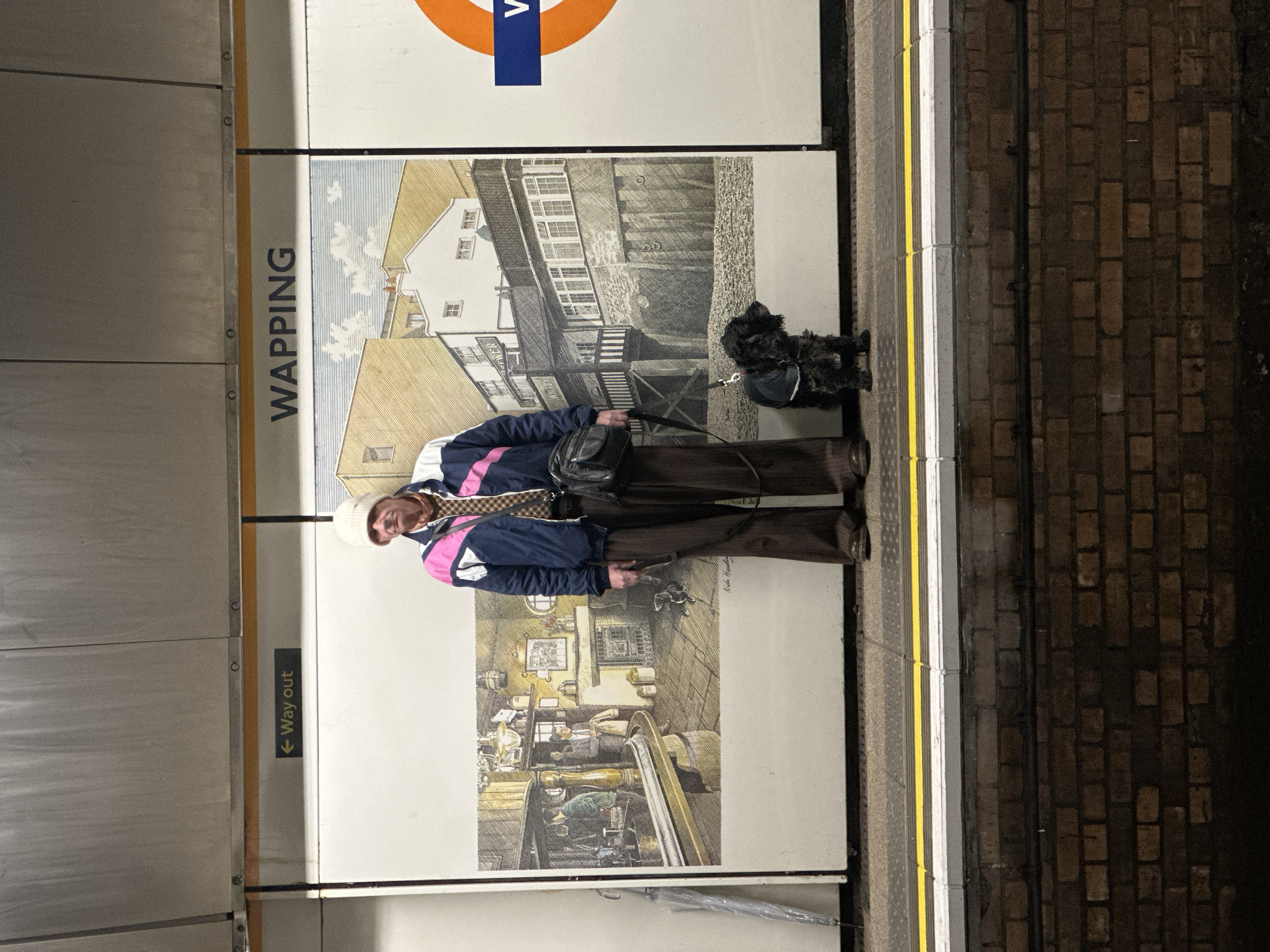 At a London Underground station, a person with a small, black dog stands on the platform in front of a "Wapping" station sign. The sign features an illustration of the area. The person wears a white hat, a blue and pink jacket, and brown pants. They carry a black bag and hold a leash. A yellow line marks the platform edge, and brick flooring is visible on the right. A "Way out" sign is seen on the left.