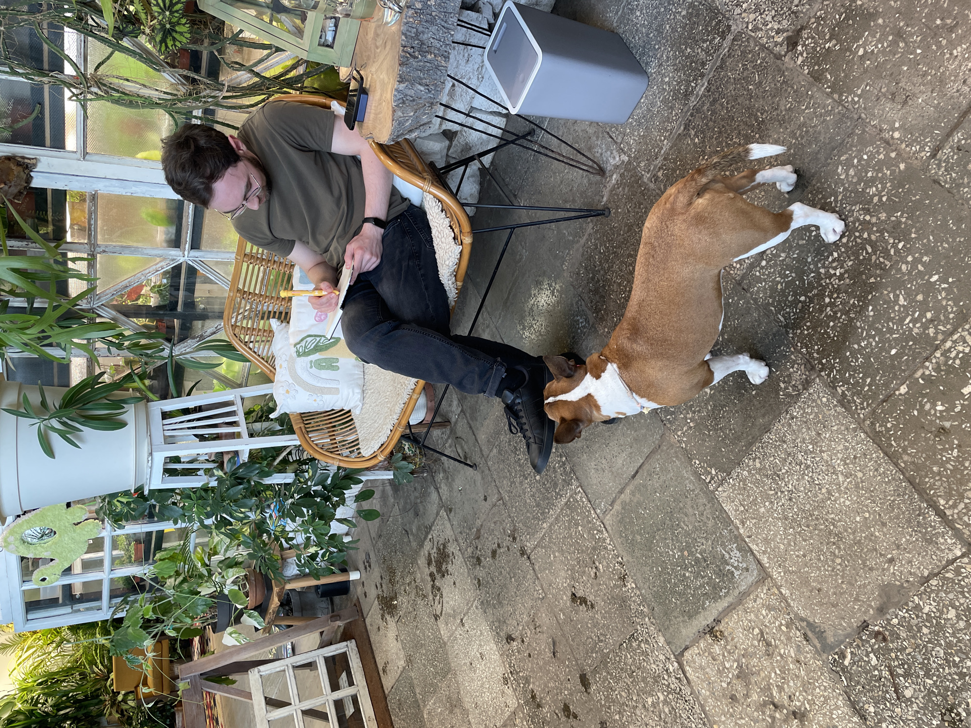 A person wearing glasses and an olive green t-shirt sits in a wicker chair, drawing in a notebook. The person has on dark jeans and black shoes. A tan and white dog lies near their feet, its head close to the person's left shoe. Beside the person is a gray, rectangular object on a metal frame. The setting is an interior space with many plants and a tiled floor. The location appears to be Saint Petersburg, Russia, based on the architectural style seen through the window.