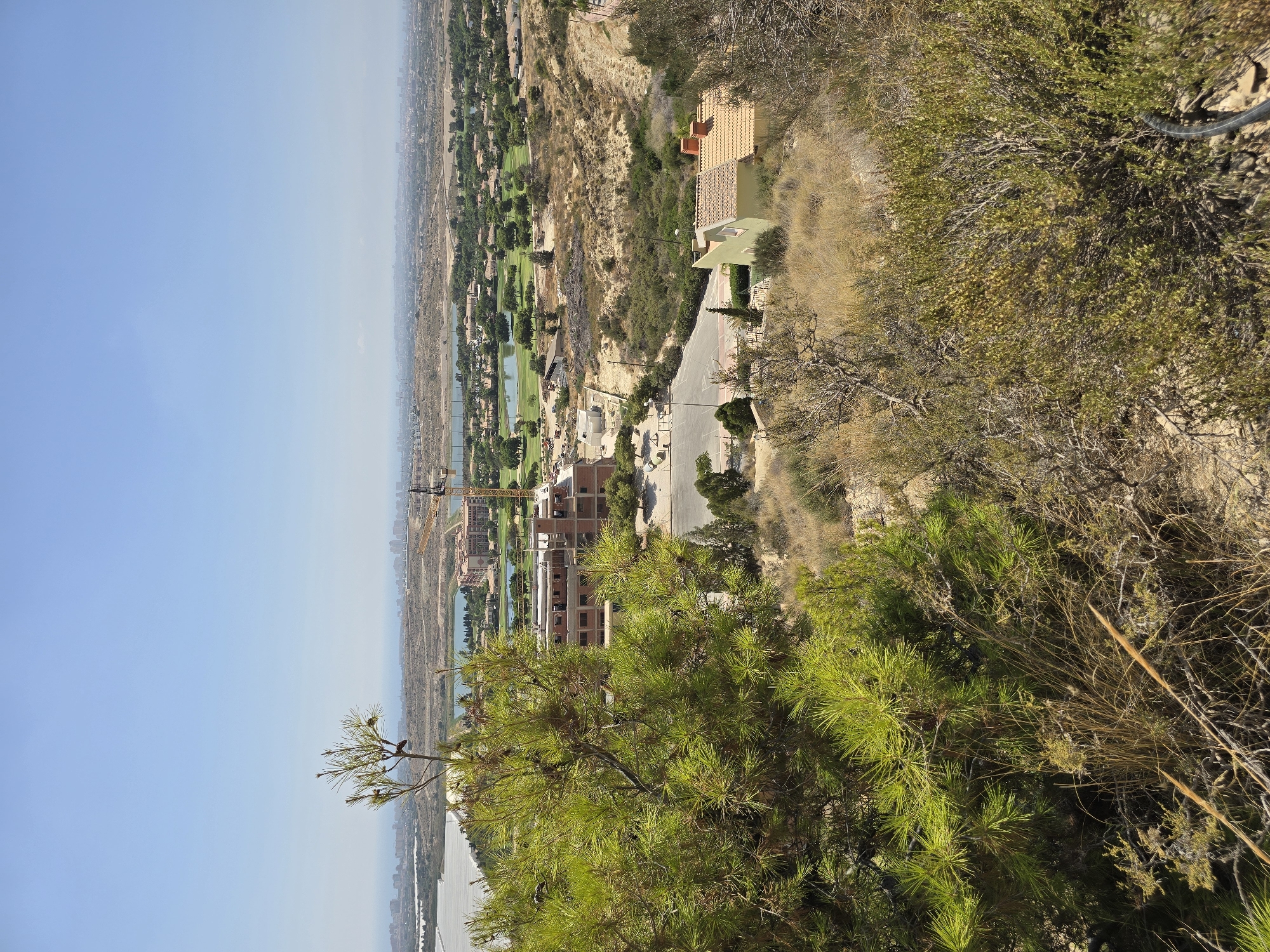 This is a high-angle, landscape photograph taken on a clear, sunny day overlooking a developed area in Mutxamel, Spain. In the foreground, on the left, is a large, vibrant green pine tree with visible pinecones. The ground in the immediate foreground is covered in dry, scrubby vegetation and some rocks.
In the midground, there is a construction site with a brick building under development, a large yellow construction crane, and various construction vehicles. Adjacent to the construction site is a road with some parked vehicles and a sports court. Further into the midground, there are several houses with red-tiled roofs, some with chimneys. A body of water, possibly a pond or lake, is visible, surrounded by green trees, indicative of a golf course.
The background shows a more spread-out urban landscape with buildings stretching towards the horizon. A distant body of water, likely the Mediterranean Sea, can be seen. The sky is a clear, pale blue, with no visible clouds. The overall impression is of a warm, arid climate with ongoing development in a semi-urban, semi-natural environment.