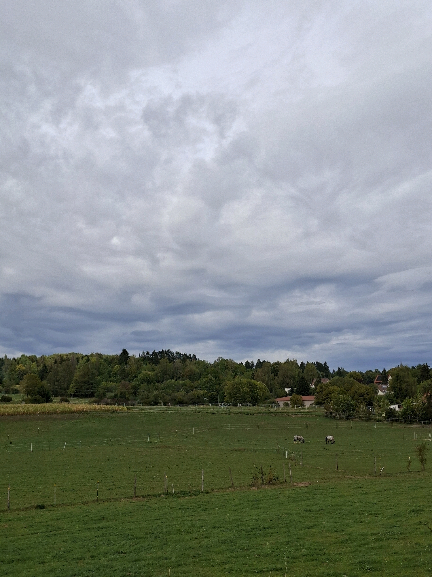 The image depicts a rural landscape, likely a pasture, under a cloudy sky. In the foreground, a green field is sectioned by simple wooden fences with wires. Further back, a line of trees forms a dense woodland boundary, with some scattered houses and structures visible amongst them. Two horses graze peacefully in the field. The overall atmosphere is serene and natural. This scene is located in Villingen-Schwenningen, Germany.