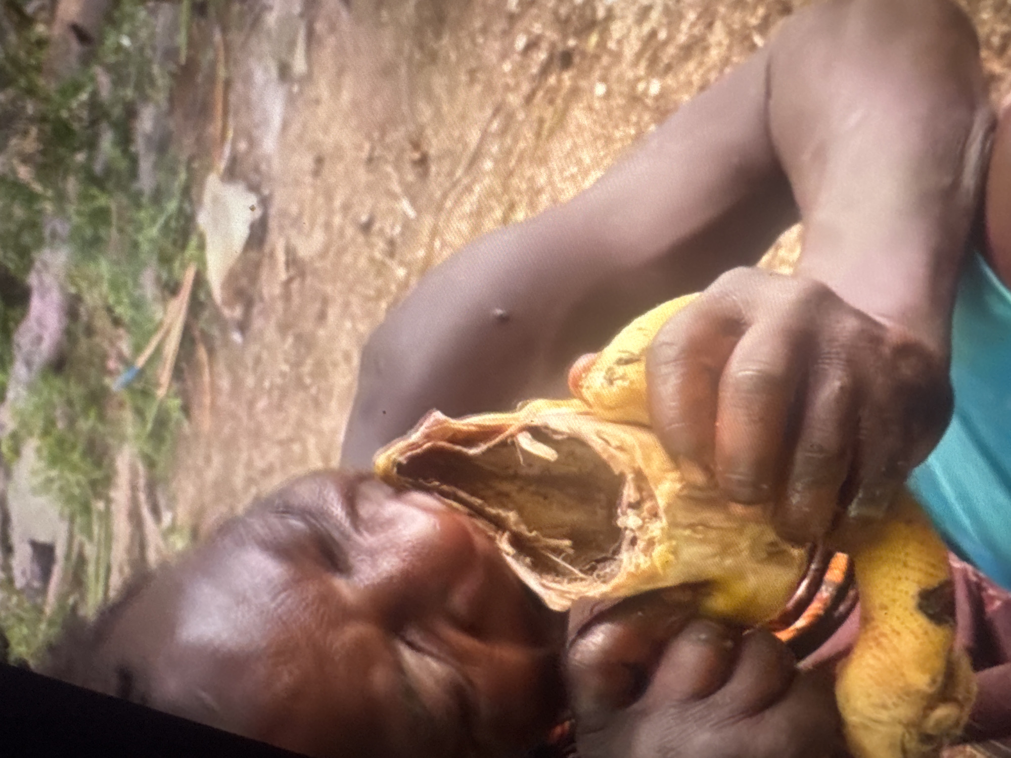 A close-up, eye-level shot shows a person holding and eating a piece of food. The person's face is partially obscured as they lean into the food, which appears to be a hollowed-out piece of a fibrous plant, possibly a type of gourd or fruit. The food is yellow and has a rough, dried texture inside. The person's hands are visible, holding the food steady as they consume it. The background is out of focus, but suggests an outdoor environment with dirt or sand on the ground and some greenery. The person has dark skin. The scene is set in the city of Abuja, Nigeria.