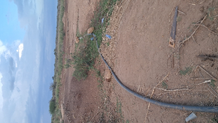 This image depicts an outdoor, undeveloped area in Walu, Kenya, characterized by dry, reddish-brown soil under an overcast sky with patches of blue. In the foreground, a black corrugated pipe extends from left to right, curving towards the middle of the frame. A wooden-handled handsaw with a dark blade lies flat on the ground to the right of the pipe. Scattered dry plant debris, including small branches and stalks, covers sections of the ground.
Further along the pipe in the midground, several irregular-shaped rocks appear to be placed on or near the pipe. Adjacent to these rocks and the pipe, sparse green vegetation and more dry plant matter are visible, along with a small blue plastic item. The terrain beyond rises slightly, showing more dry soil and scattered green shrubs or bushes, indicating an arid or semi-arid landscape. No individuals are present in the scene, and no overt actions or interactions are depicted.