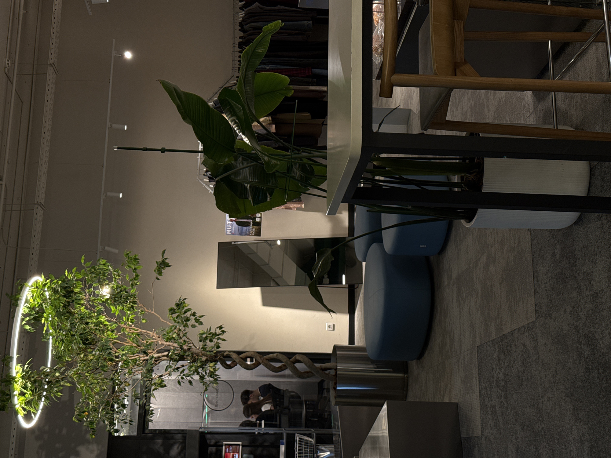 The image shows an interior scene, potentially a store or a public space, featuring various elements. At the upper part of the image, there is what appears to be a rack of clothing. A large leafy plant in a white pot is positioned near a table with a light-colored surface and black metal legs. Adjacent to the table are blue circular seating elements. In the background, there is a decorative tree with a light ring around it, and a mirror reflects an image of two people. The flooring appears to be carpeted. The overall lighting is soft, and the interior design gives off a contemporary and somewhat upscale aesthetic. The location in the city of Khimki, Russia is not definitively confirmed within the image itself but is provided as contextual information.