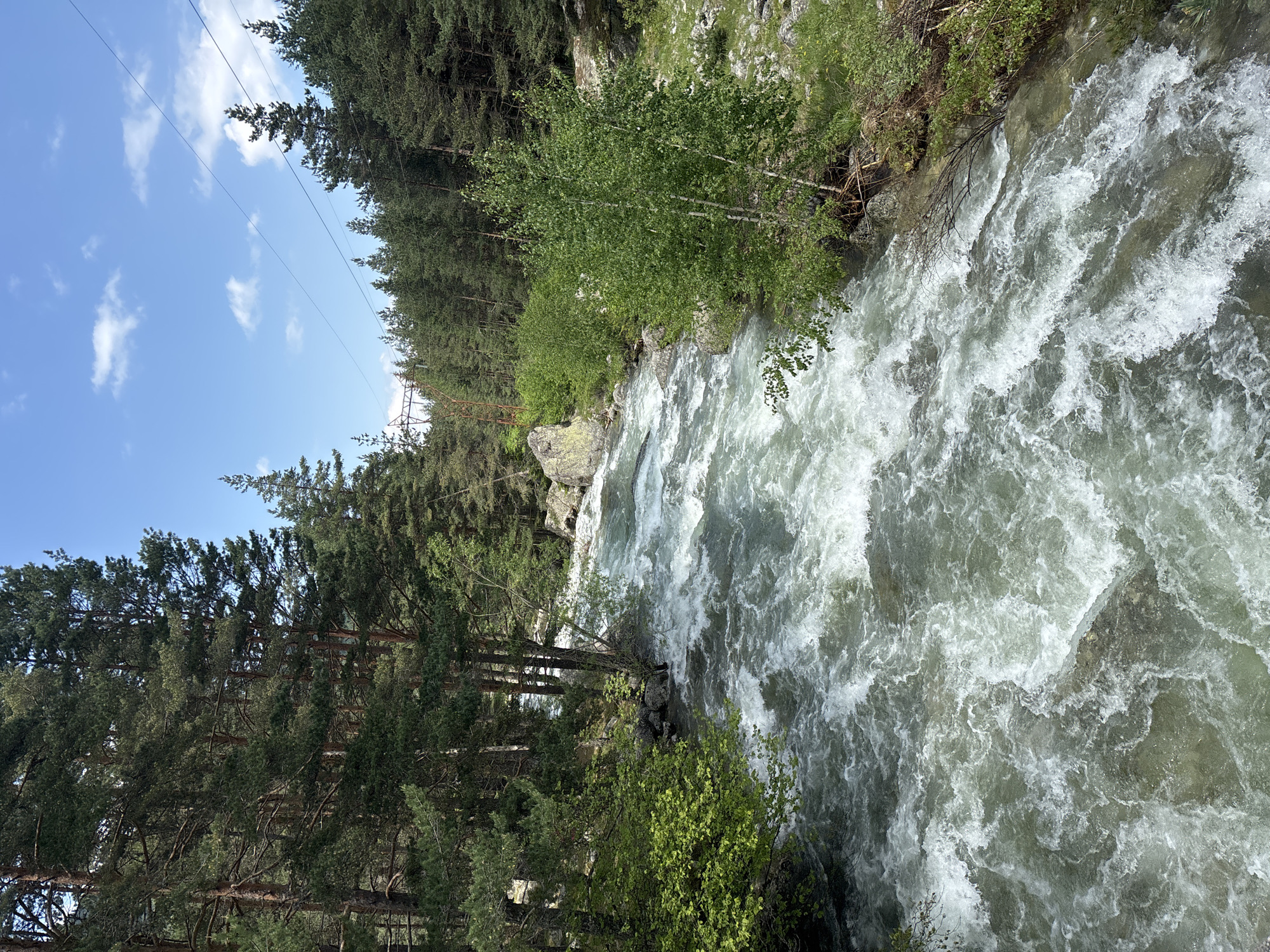 This image captures a turbulent river in a forested mountain valley in Beli Iskar, Bulgaria, under a clear blue sky with sparse white clouds. The river occupies the central and lower portions of the frame, flowing from the upper-center to the lower-right, characterized by strong rapids, foamy white water, and a greenish-grey hue, indicative of a rapid current over a rocky bed. Both riverbanks are densely forested. The left bank is dominated by tall, dark-green coniferous trees, primarily pines, with some lighter green deciduous foliage closer to the water's edge and exposed rocks. The right bank also features a dense coniferous forest extending up the slope, with several light-barked deciduous trees with bright green leaves (likely birches) and various green shrubs and bushes closer to the water, intermingled with rocks and fallen branches. In the upper-right quadrant, multiple power lines traverse the sky, supported by a visible metal pylon in the mid-ground right, indicating human infrastructure within the natural landscape. No human or animal subjects are visible. The scene is brightly lit by natural sunlight, suggesting a clear day in late spring or summer.
