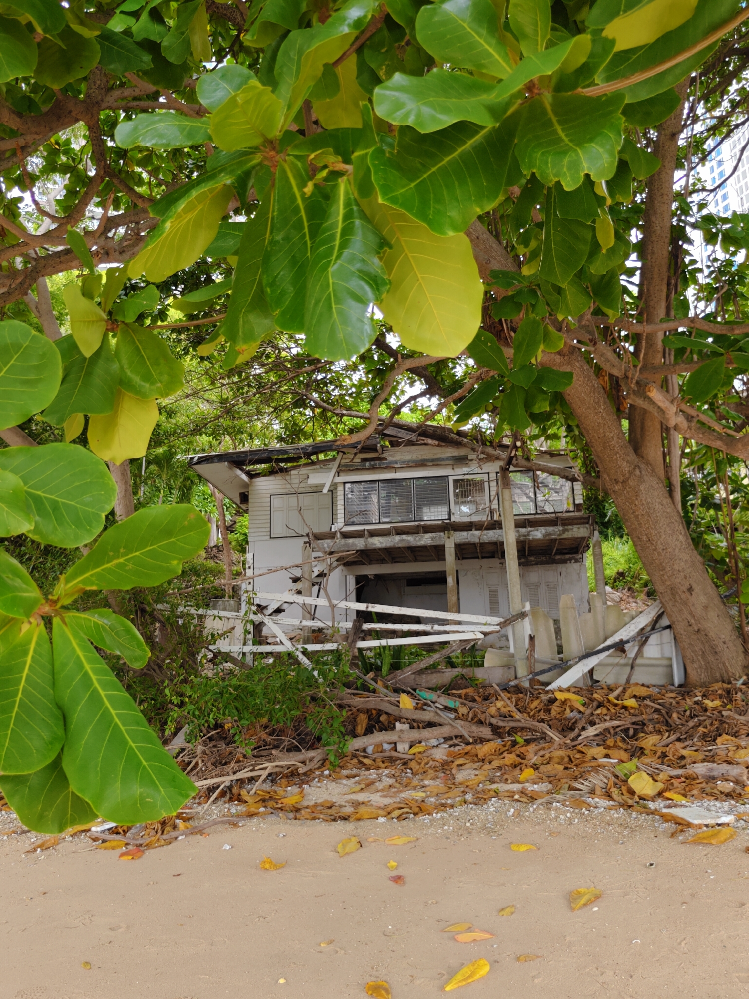 A dilapidated, two-story house is situated amongst lush tropical foliage on a sandy beach. The house is in a state of severe disrepair, with broken wooden structures, a damaged roof, and peeling white paint. Large, glossy green leaves from overhead trees partially obscure the view of the building. The ground is covered in sand and fallen brown and yellow leaves. The scene suggests abandonment or neglect.