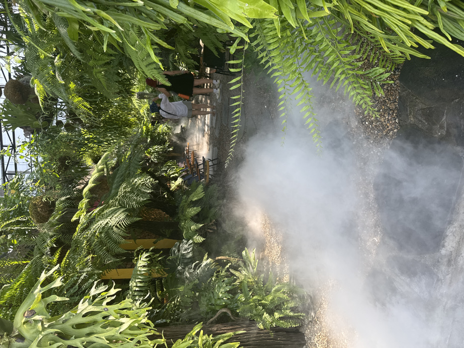 The image depicts a lush, tropical garden environment within a covered or semi-indoor structure, likely a cafe, characterized by dense vegetation, including numerous ferns and large-leafed plants such as staghorn ferns. Sunlight filters through an overhead structure of clear panels and metal beams. A significant volume of artificial mist emanates from ground level, spreading across the foreground and mid-ground. A pathway composed of gravel and flagstones meanders through the scene. Several dark-colored outdoor chairs and small tables are arranged along the left side of the path, partially obscured by mist and foliage. Two individuals are present in the mid-ground, observed from behind. The person on the left wears a light-colored short-sleeved top, light shorts, and a blue-patterned hat. The person on the right wears a dark short dress and white sneakers. Both are standing on the path, facing deeper into the garden. This scene is identified as WonderLand Cafe (also known as Forest Cafe Đà Nẵng or Rừng Cafe) in Đà Nẵng, Vietnam.