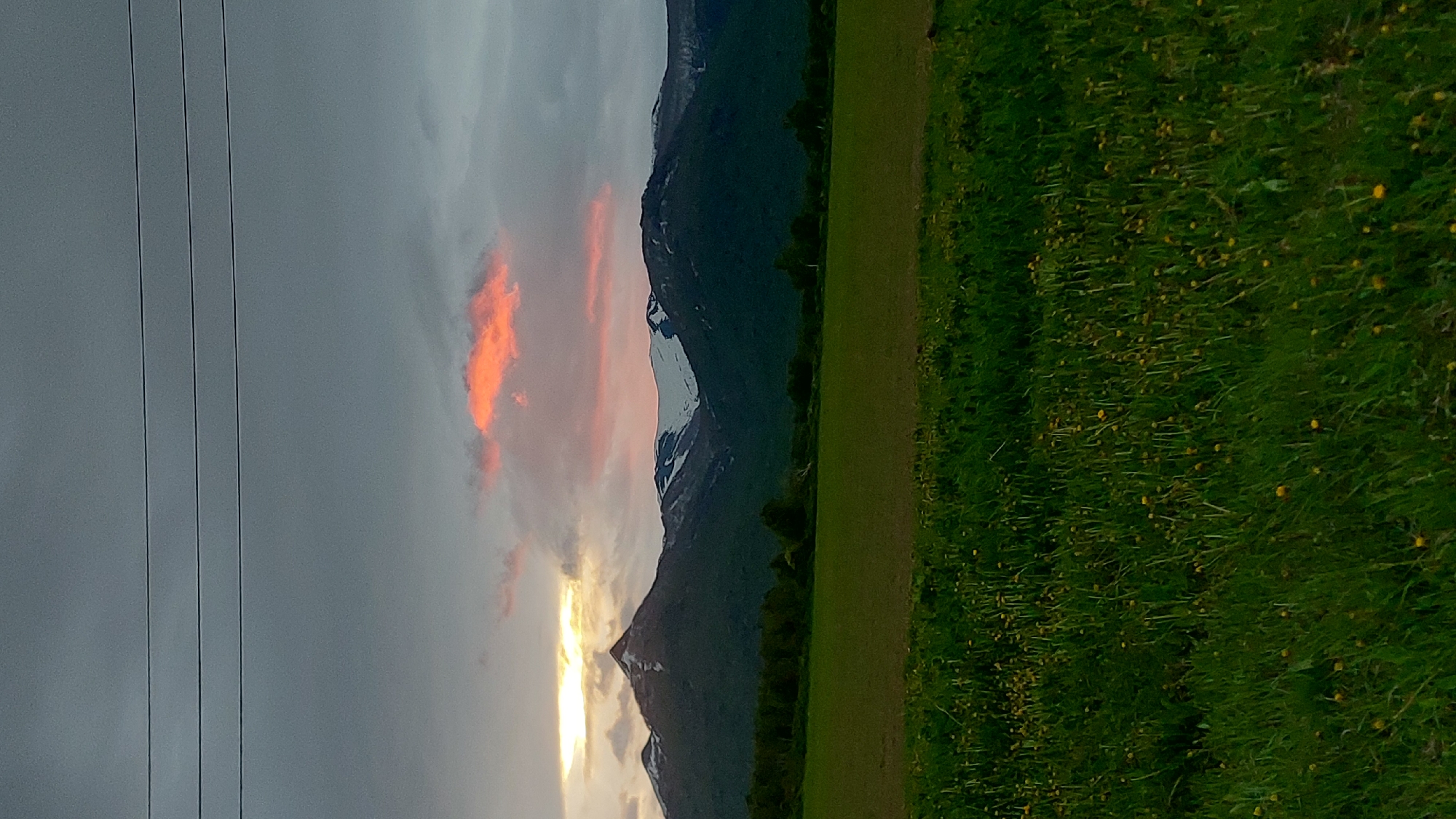 The image captures a serene landscape scene with a focus on natural elements. The foreground is dominated by a vibrant green field, lush with grass and dotted with small yellow wildflowers. Behind the field, a line of dark green trees forms a dense border against the foothills of a mountain range.
The mountains themselves are majestic, with their upper slopes covered in patches of white snow, suggesting a cooler climate or higher altitude. The sky above is a mix of dramatic grays and blues, with a striking patch of pinkish-orange cloud illuminated by the setting sun. Three thin, dark, horizontal lines, possibly power lines, are visible against the sky in the upper portion of the image. The overall impression is one of natural beauty and tranquility at dusk.