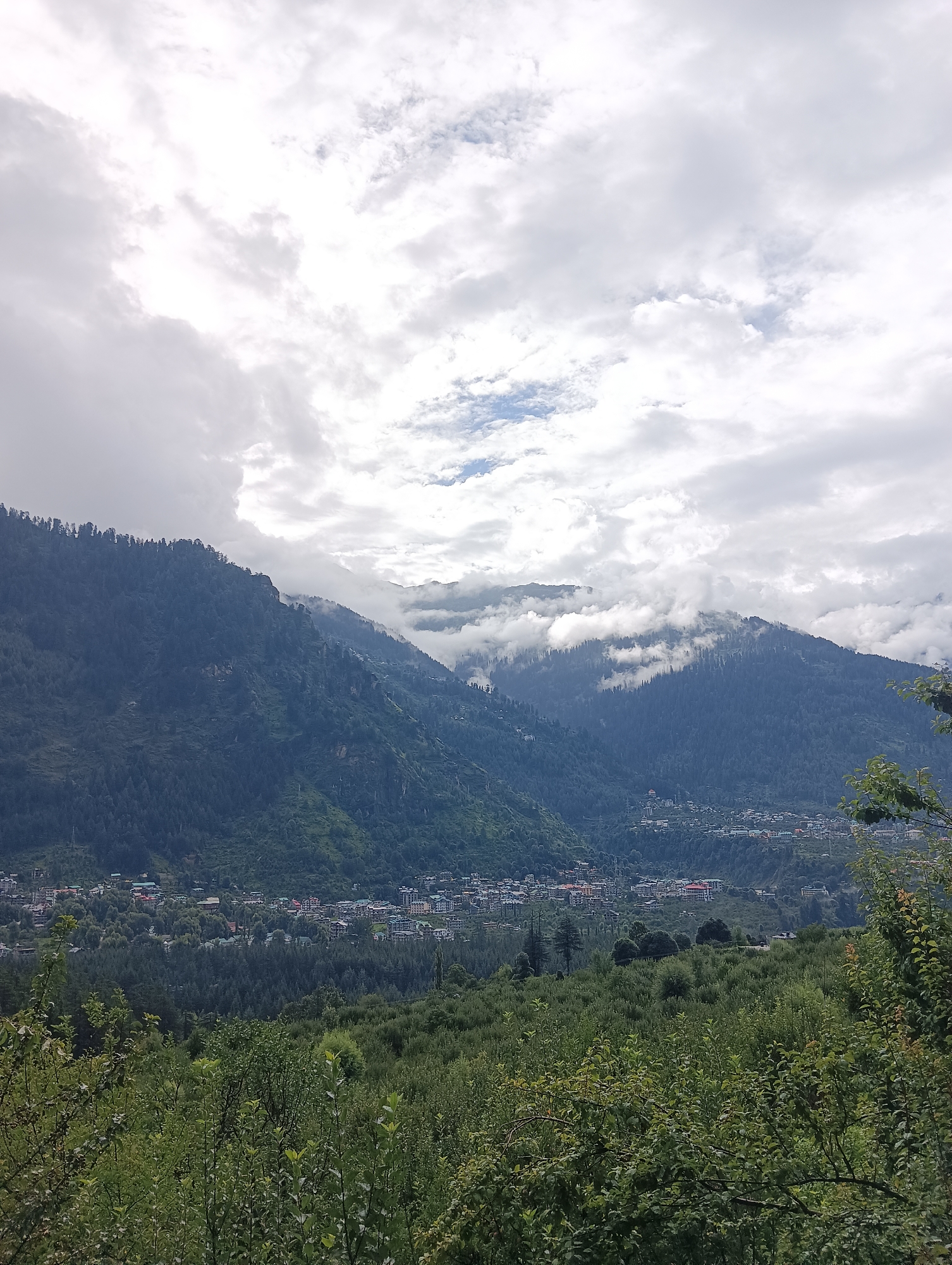 The image depicts a panoramic view of a mountainous landscape with a town nestled in a valley. The sky is overcast with dramatic, diffused light filtering through the clouds. The foreground is dominated by lush green vegetation, consisting of trees and bushes. Beyond the foreground, the middle ground reveals a dense forest covering the lower slopes of the mountains. Further in the distance, the town of Chhyal, India, is visible, characterized by a cluster of buildings with various roof colors and architectural styles, interspersed with more trees. The background is defined by imposing, tree-covered mountains that recede into the distance, with patches of fog or low-lying clouds clinging to their peaks. The overall impression is one of a serene, natural environment with human habitation integrated into the landscape. There are no people or discernible actions visible in the image.