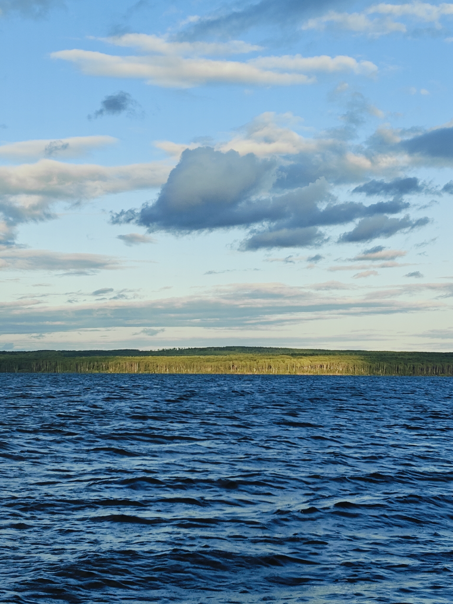 This is a photograph of a body of water with a tree line in the background and a cloudy sky above. The water is a deep blue with visible ripples and waves. The tree line appears to be a dense forest, predominantly green with some lighter colored trees scattered throughout. The sky is a light blue with numerous white and gray clouds. The scene depicts a natural landscape. Based on the provided information, this scene is located in the city of Chaikovsky, Russia. There are no people, animals, or man-made structures visible in the image. The lighting suggests it is daytime, possibly late afternoon or early evening, given the soft light illuminating the tree line.
