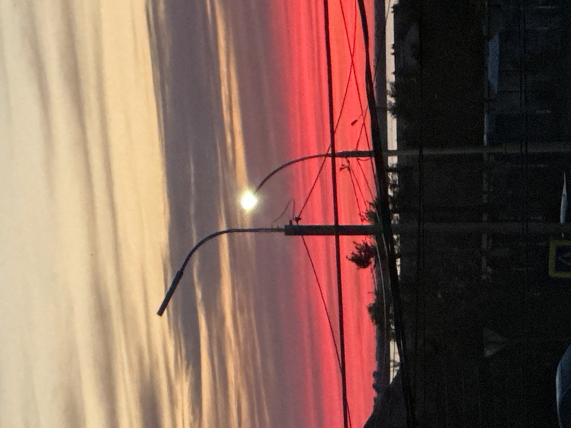 The image is a vertical shot of a sunset in Khabarovsk, Russia. The sky displays a gradient of colors, transitioning from a light beige on the left to a vivid red on the right. Two streetlights, curving at the top, are silhouetted against the sky. One of the streetlights is illuminated. In the background, there are outlines of trees, utility poles, and building structures, all appearing dark. A sign with a yellow border is visible on the right.