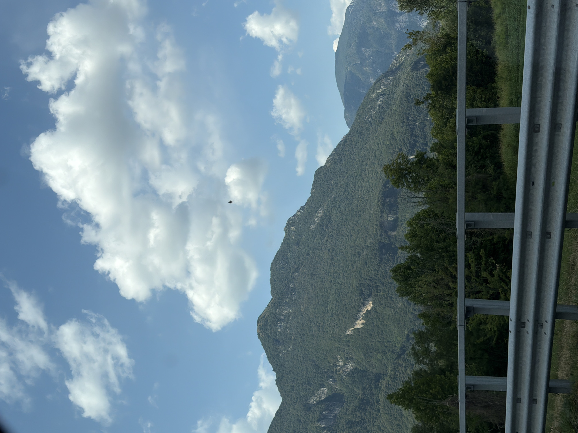The image captures a mountainous landscape under a partly cloudy sky, likely taken from a roadside. In the foreground, a silver metal guardrail with multiple horizontal bars runs across the width of the frame, indicating a road or highway. Beyond the guardrail, a dense line of various green trees forms a buffer before the imposing mountains begin. The mountains are covered in thick vegetation, with some lighter patches of rock visible on their slopes. The sky is a vibrant blue, dotted with fluffy white clouds. A small dark bird is visible in flight high up in the sky. The scene is consistent with the natural beauty of the mountainous regions near Osoppo / Osôf, Italy.