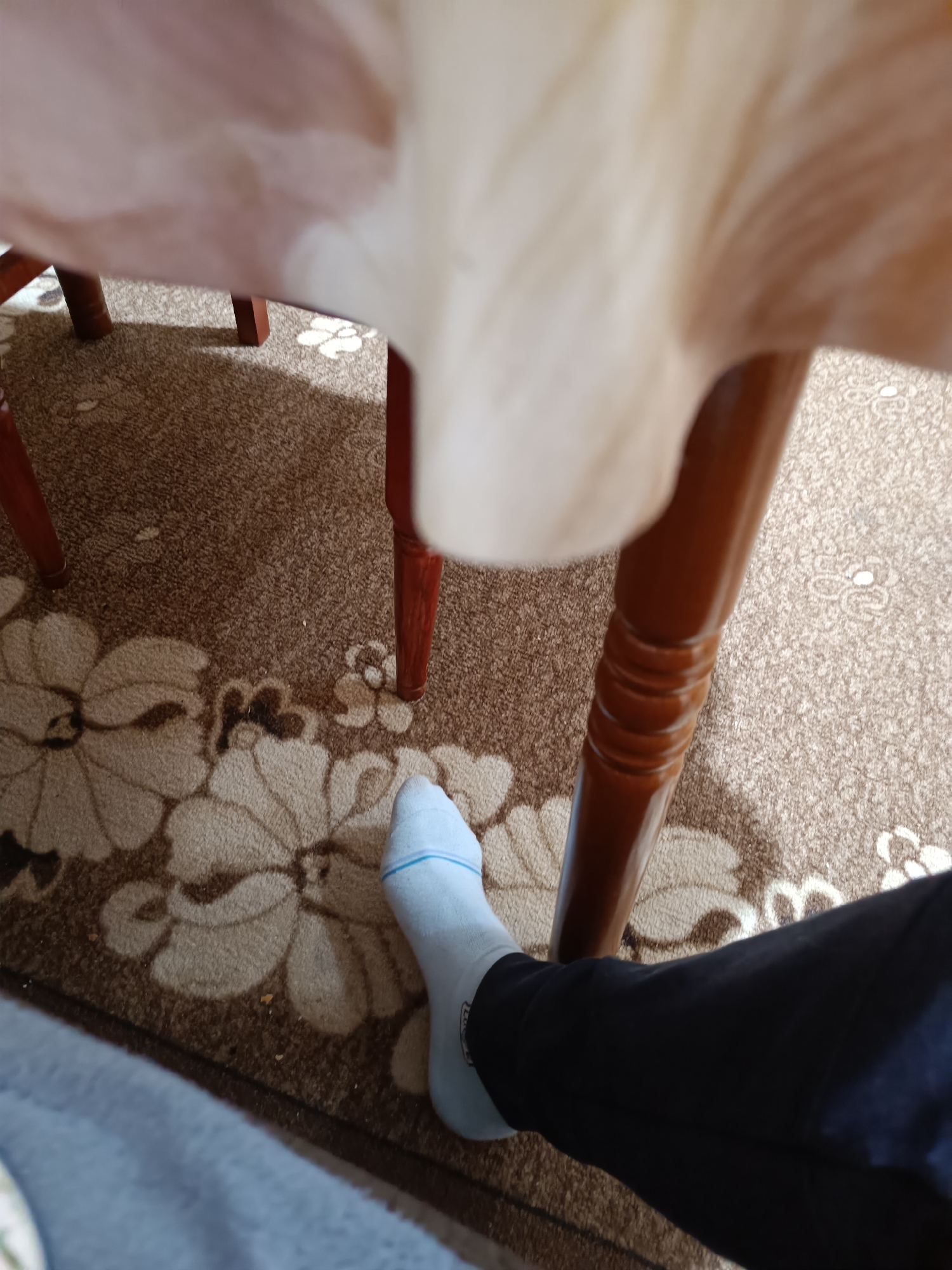 A person's leg and foot, wearing a light blue sock, are positioned under a table with a brown wooden leg. The table is draped with a white cloth. The leg is covered with black pants. The background is a patterned rug with brown and beige floral designs. The specific location within Pleven, Bulgaria, cannot be determined from the image alone.