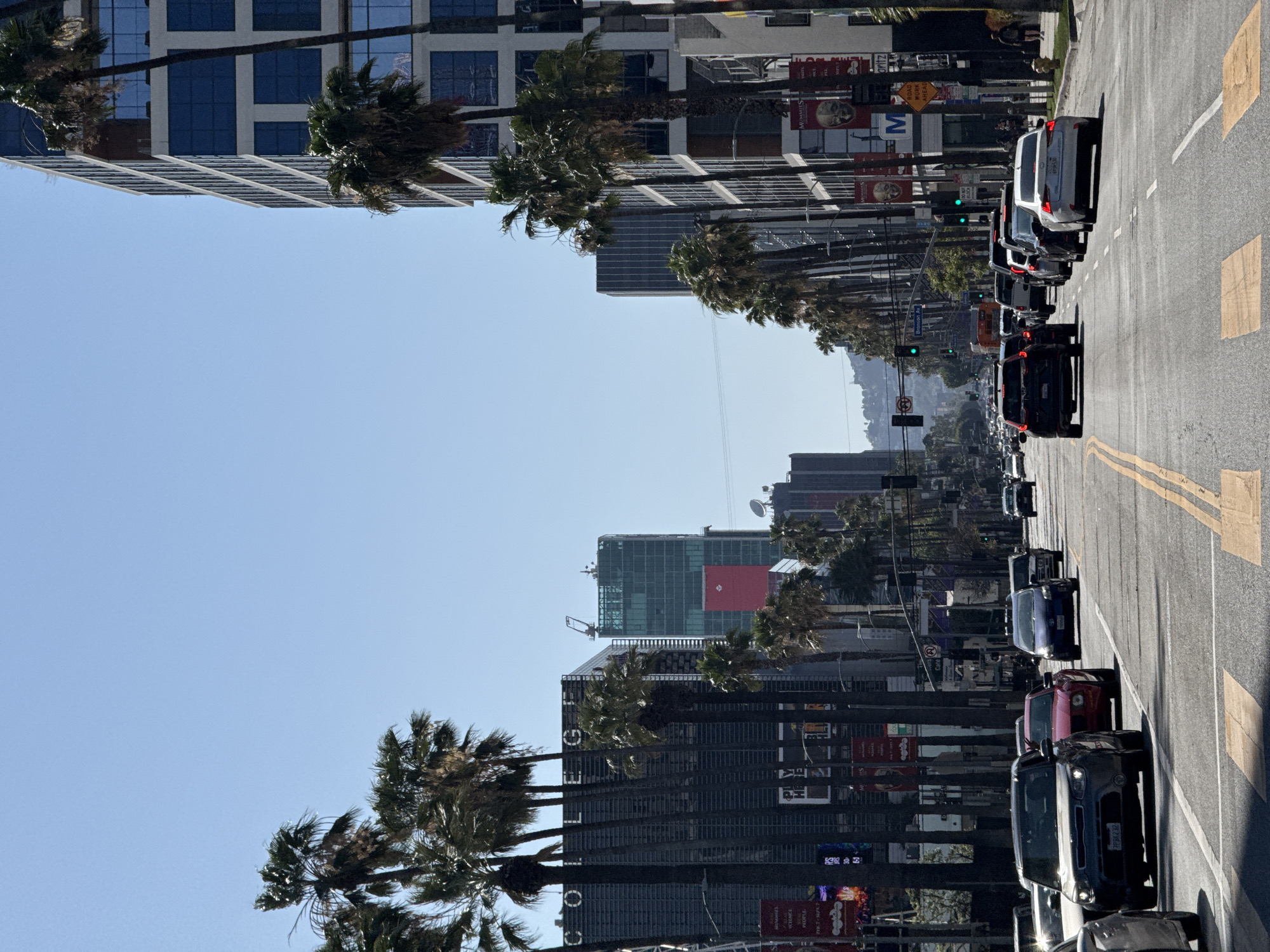 The image depicts a street in Los Angeles, lined with palm trees and tall buildings. Traffic is visible on the road, with cars in both directions. The sky is clear and blue. Signs and advertisements are posted along the buildings. The street has yellow dividing lines and lane markings.