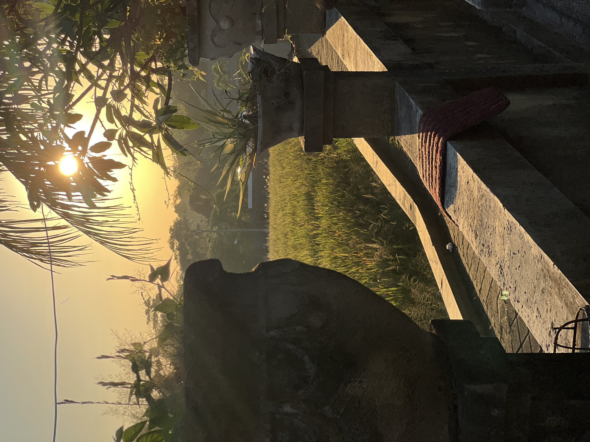 The image depicts a serene tropical landscape bathed in the warm, golden light of either sunrise or sunset. The sun, positioned in the upper left quadrant, peeks through a dense canopy of tropical foliage, creating distinct sun rays and lens flares. Palm fronds and other leafy branches frame the immediate foreground on the left.
Running across the midground is a substantial concrete or stone structure, likely a railing or wall, which provides a vantage point over the scene. This structure is adorned with decorative planters holding various green plants. To the left, a large, dark, sculpted stone object, possibly a statue of an animal or deity, is partially visible, largely in shadow. Further along the concrete railing on the right, a reddish-brown, textured woven mat or fabric is draped, catching the sunlight.
Beyond this structure, a vibrant green rice paddy extends into the distance, illuminated by the low-angled sun. The field appears lush and well-maintained, stretching towards a hazy horizon lined with distant trees and vegetation. The overall lighting casts long shadows and highlights textures, contributing to a tranquil and picturesque atmosphere. The visible landscape elements and architecture are consistent with a rural or semi-rural setting in North Kuta, Indonesia. There are no people or visible text in the image.