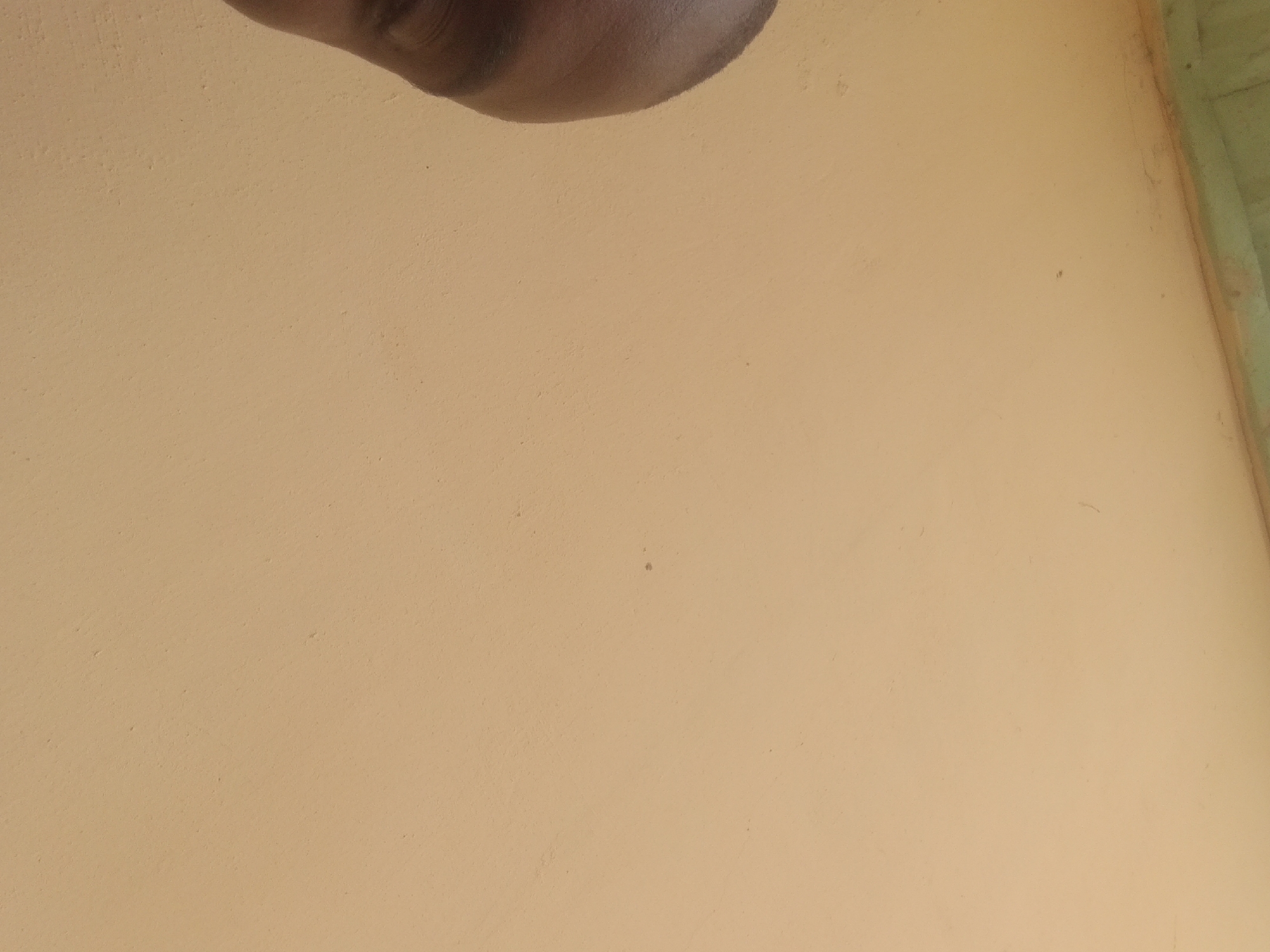 The media file displays a close-up, slightly angled view of a light beige, textured wall. In the upper portion of the image, a dark, curved object is visible, appearing to be part of a person's skin, possibly a chin or cheek with some shadow. The wall itself shows minor imperfections, like small dark specks and faint scuffs, suggesting an outdoor or somewhat aged indoor environment. To the far right edge, a sliver of a different surface is visible, painted a muted green, and it appears to meet the beige wall at an angle, hinting at a corner or a junction of different structures. The lighting suggests it could be daytime, as there are no strong artificial light sources indicated. There is no visible text in the image. The overall impression is of a mundane, everyday setting, possibly in Jalingo, Nigeria, with the focus drawn to the texture and subtle details of the wall and the partial view of a person.