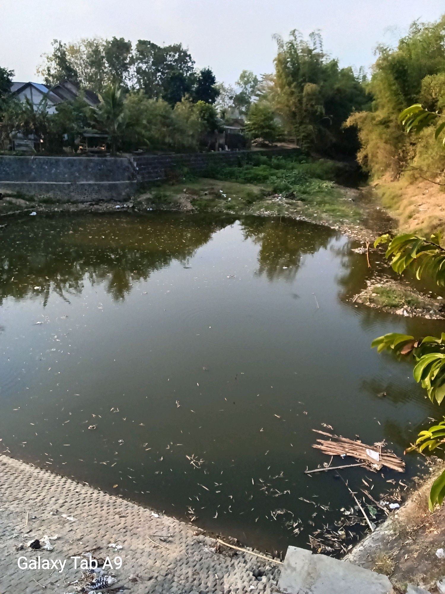 The image shows a body of dark, stagnant water, possibly a pond or canal, in Sumberingin, Indonesia. The water is littered with debris, including leaves, plastic, and other refuse. A small raft made of bamboo logs is floating on the surface of the water. The banks of the water body are lined with concrete and overgrown vegetation, including trees and bamboo. In the background, several houses with tiled roofs are visible, surrounded by dense foliage. The overall scene depicts an area with signs of neglect and pollution. The image appears to be taken during daylight hours, with a soft, diffused light. A watermark at the bottom of the image indicates it was captured on a "Galaxy Tab A9".