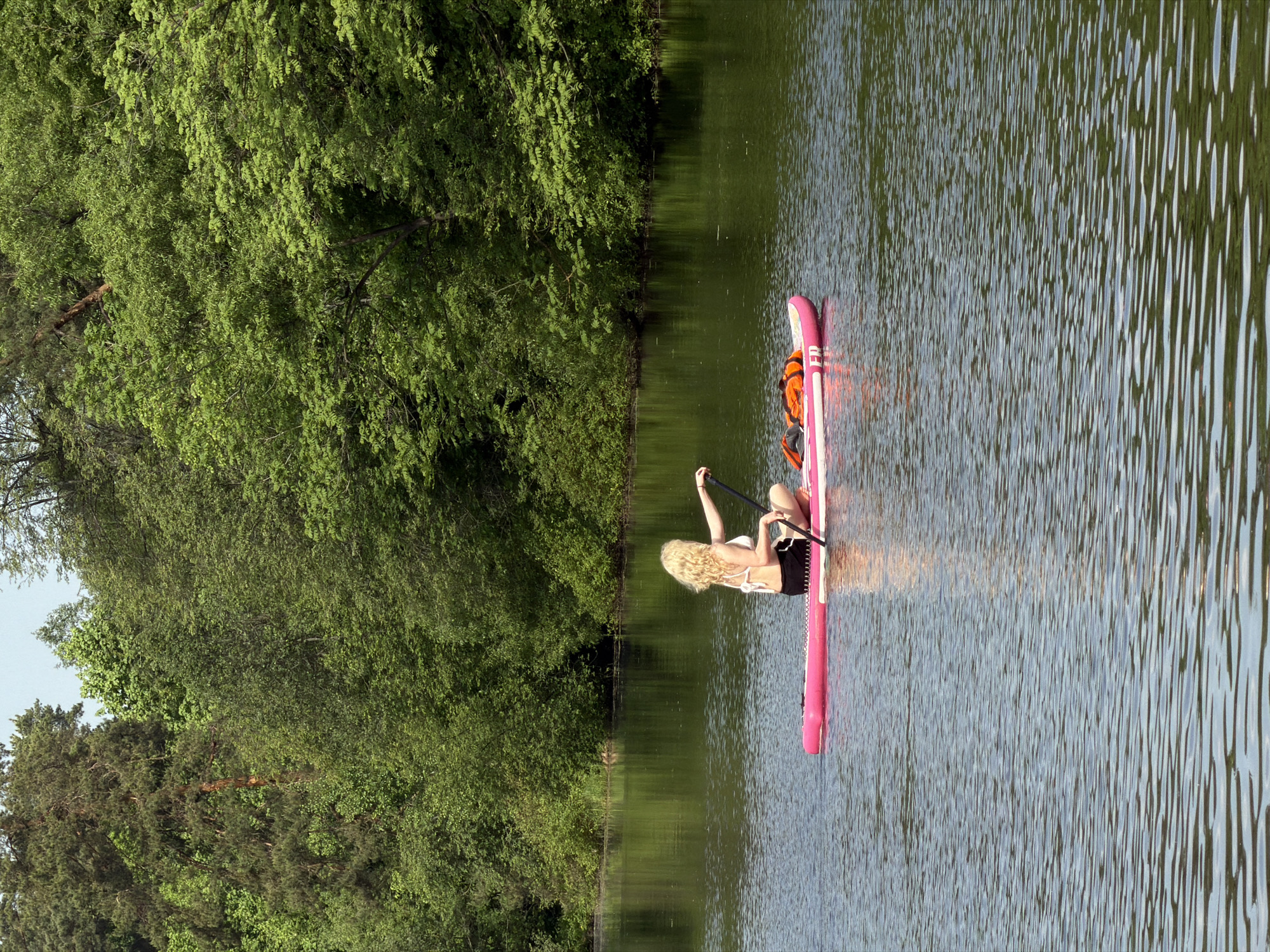 A sunny outdoor shot, taken at ground level, shows a fair-skinned, blond-haired woman kneeling on a pink and white paddle board with a neon orange life vest and paddling in a placid body of water. Dense green trees line the left side of the frame, their reflection mirroring in the water. The water's surface shows gentle ripples, creating a light-and-dark pattern. The woman, wearing a light-colored top and dark shorts, holds a paddle and appears to be propelling herself forward. Based on the overall composition and visual cues, this scene is most likely located in a park or recreation area, given the dense trees and calm water, with the location likely being a similar setting in Moscow, Russia. However, without more specific landmarks or indicators, the exact location within Moscow is not determinable.