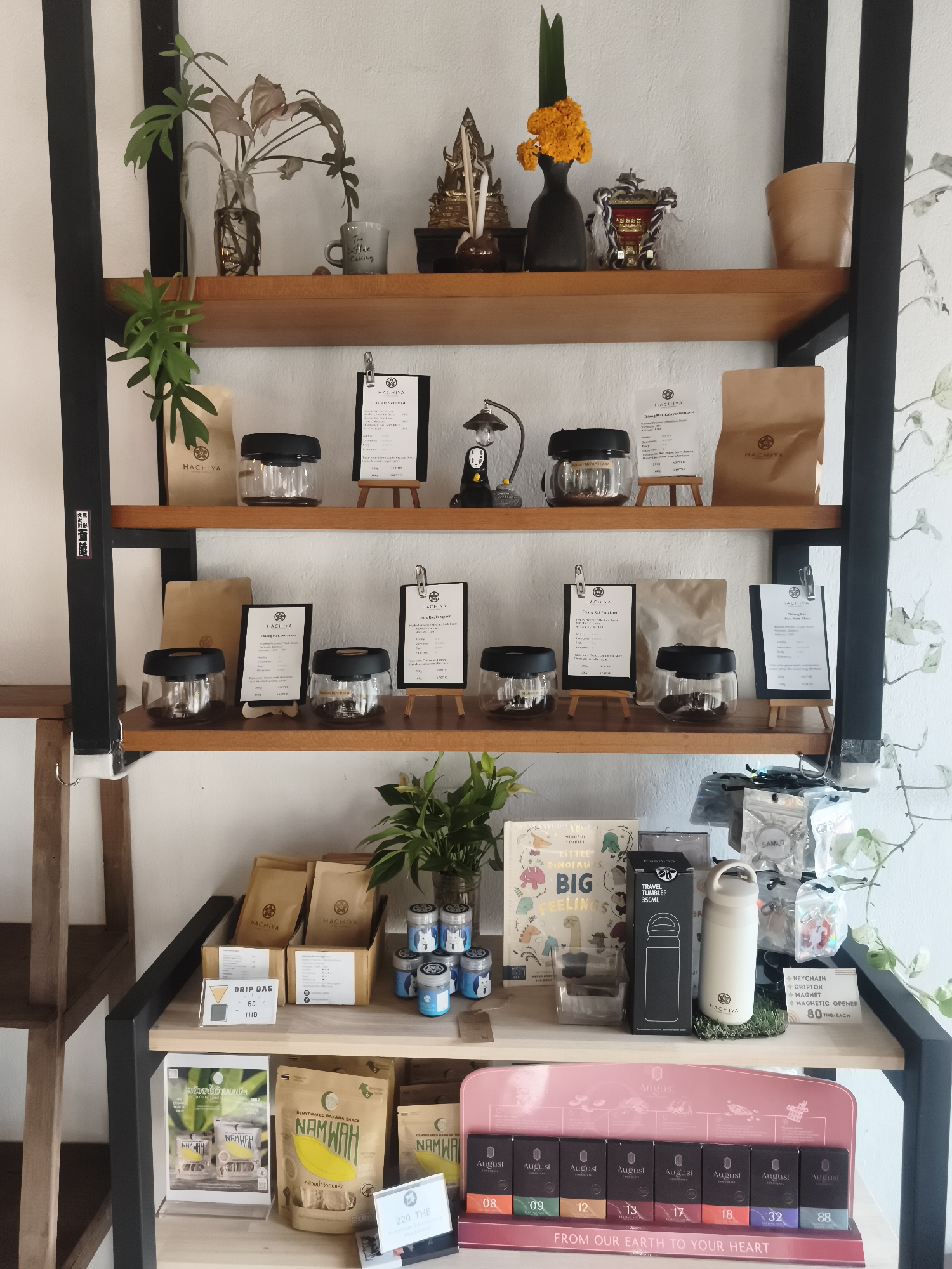 Here is a detailed description of the image:
**Scene:**
The image shows a retail display shelf, likely inside a shop in Baan Mae Nam, Thailand, specializing in coffee and related products. The shelf is multi-tiered with a black metal frame and wooden shelves.
**People:**
There are no people visible in the frame.
**Subjects/Objects:**
1. **Top Shelf:** Contains decorative items like small vases with greenery, a Buddha statue, a ceramic mug with the words "The Coffee Calling", and a small decorative ornament with gold accents.
2. **Second Shelf:** Displayed are coffee bean samples in glass jars with black lids. Each sample is accompanied by a small wooden easel holding a card with the coffee name "HACHIYA" and details in English and Thai. Brown paper bags, labeled with "HACHIYA", are also visible.
3. **Third Shelf:** Similar to the second shelf, it showcases more coffee bean samples in glass jars, each with a card providing information about the variety and price.
4. **Fourth Shelf:** Has small boxes containing coffee drip bags also branded "HACHIYA". There are also small jars of some type of tea or other beverage mix. Books include "Little Dinosaurs Big Feelings," and a "Fashion Travel Tumbler 350ml". In addition, a white tumbler with a label, and a small display sign advertising "Keychain, Griptok, Magnet, and Magnetic Opener 80 THB/each".
5. **Bottom Shelf:** Features dehydrated banana snacks packaged under the brand "NAMWAH". There are also promotional cards and a display stand with August brand chocolate. The text reads "FROM OUR EARTH TO YOUR HEART".
**Actions/Interactions:**
The scene is static. No interactions are occurring.
**Environment:**
The shop environment seems to be well-lit. The background is a plain white wall with some botanical wall art. There is a wooden ladder visible on the left side of the image.