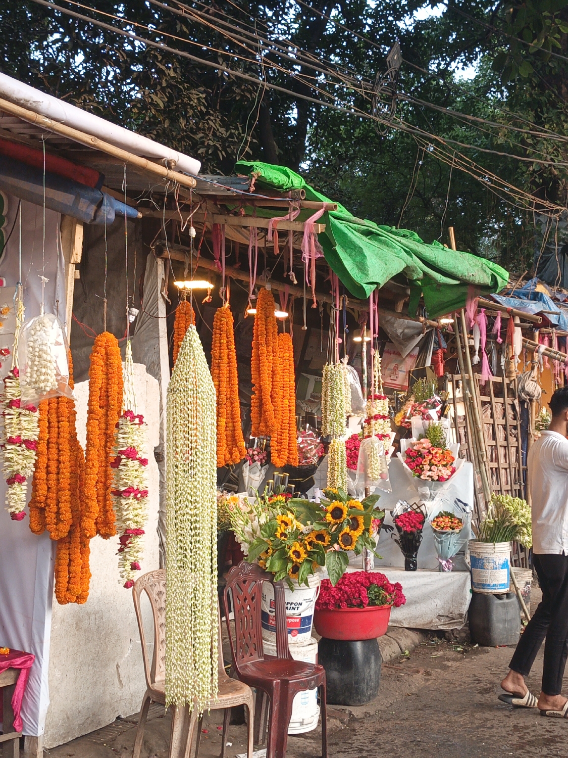 This vibrant image captures a bustling outdoor flower stall, likely on a street or sidewalk in Dhaka, Bangladesh, based on contextual cues. The setting features a makeshift structure with bamboo poles and wooden supports, covered by green and blue tarpaulins, suggesting a temporary or permanent market setup. Numerous entangled electrical wires are visible overhead, crisscrossing against a backdrop of dark green foliage and a softly lit sky, indicating either late afternoon or early evening.
The primary subjects are the abundant and colorful flowers. Dominating the display are long, thick garlands of bright orange marigolds, hanging in multiple rows. Alongside them are equally long, delicate garlands made of small white flowers, possibly jasmine or tuberose, which extend almost to the ground. Some garlands also feature a mix of white flowers with accents of red. On a display table covered with a white cloth, various fresh bouquets are arranged in buckets and vases, including cheerful sunflowers, vibrant red roses, and mixed floral arrangements wrapped in plastic. Loose red flowers fill a red basin, which rests on a black container.
An individual, a man, is partially visible on the right side of the frame. He wears a white T-shirt, dark trousers, and black slip-on sandals, and appears to be walking or standing near the stall, facing away from the camera. Artificial bare light bulbs hang within the stall, illuminating the garlands and adding to the evening market atmosphere. Other objects include two plastic chairs (one beige, one maroon) placed near the white flower garlands, and several white buckets, one of which clearly displays the text "NIPPON PAINT". The ground is unpaved and appears worn. The scene conveys a lively, everyday market activity.