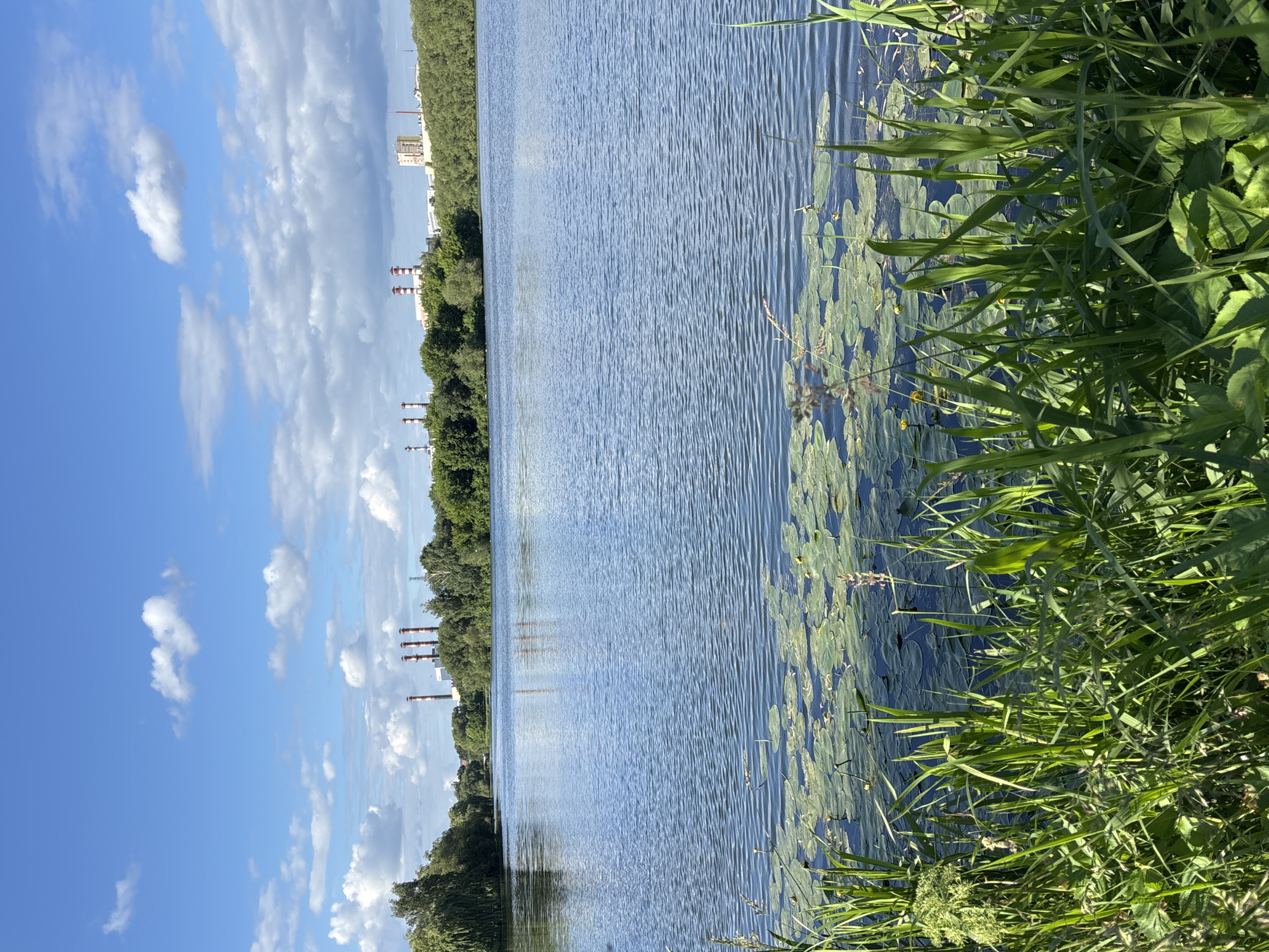 The image depicts a wide, calm body of water, likely a river or lake, with a clear blue sky filled with fluffy white clouds above. In the foreground, lush green grass and reeds line the edge of the water. The water itself is populated with numerous lily pads, some with small yellow flowers. In the background, a dense line of green trees forms the opposite bank, beyond which a cluster of industrial buildings with tall, red-and-white striped smokestacks is visible. The overall scene is one of a natural landscape adjacent to industrial infrastructure. The provided information indicates this location is in the city of Minsk, Belarus. No people or actions are depicted.