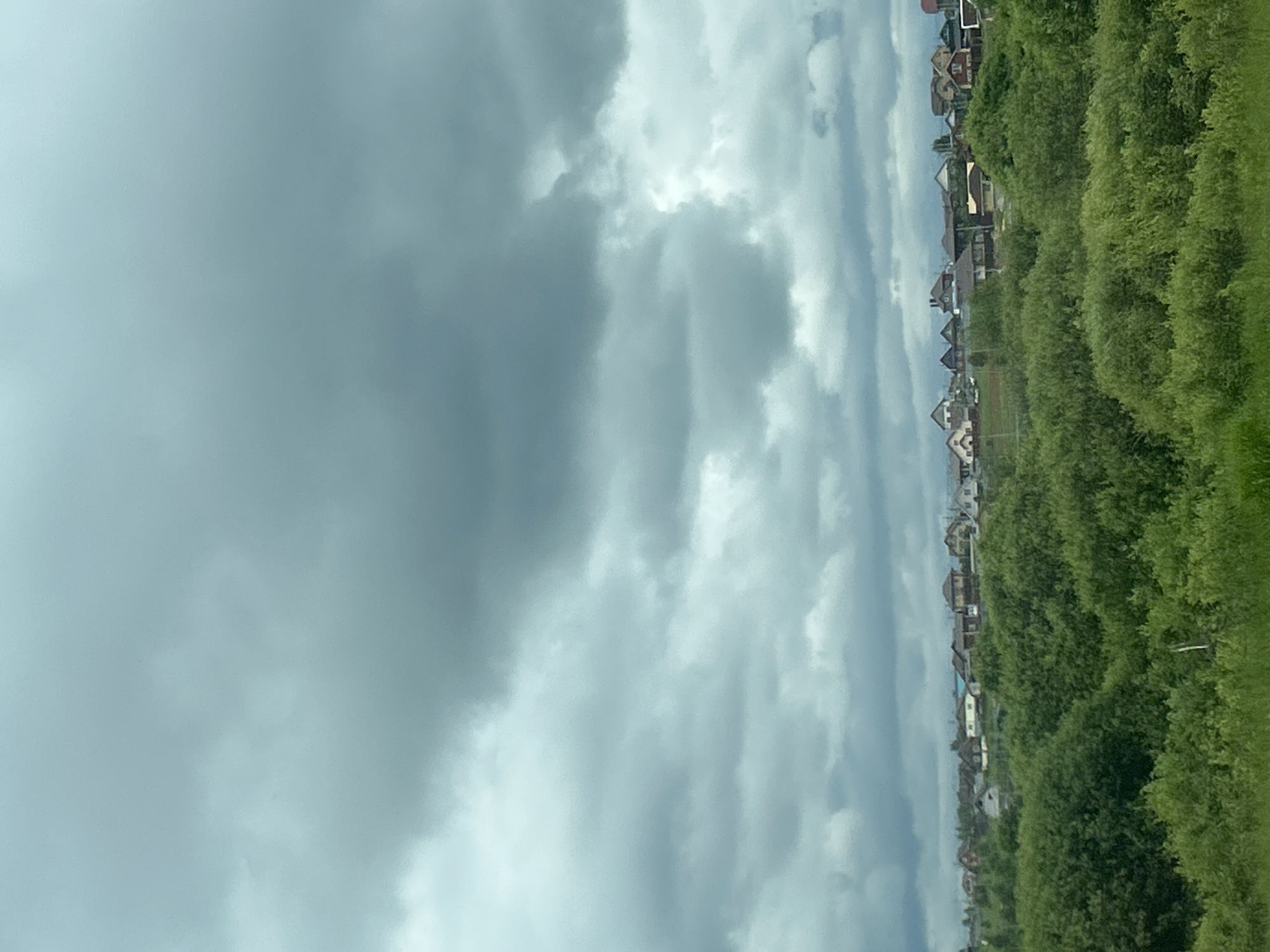 This image depicts an overcast landscape in Yus'ki, Russia. The upper two-thirds of the frame are dominated by a heavily clouded sky, featuring various shades of grey and bluish-grey clouds. Below the cloud line, a line of scattered residential houses is visible, extending across the midground. These houses exhibit diverse architectural styles, with varying roof colors including red, brown, and dark grey. They are primarily one to two-story structures, interspersed with what appears to be sparse vegetation or undeveloped lots between them. The foreground, occupying the lower half of the image, is filled with dense, lush green deciduous foliage, forming an undulating terrain of trees and bushes. No people or specific actions are discernible within the scene. The overall impression is one of a suburban or rural residential area under a heavily clouded sky, with abundant natural growth in the foreground.