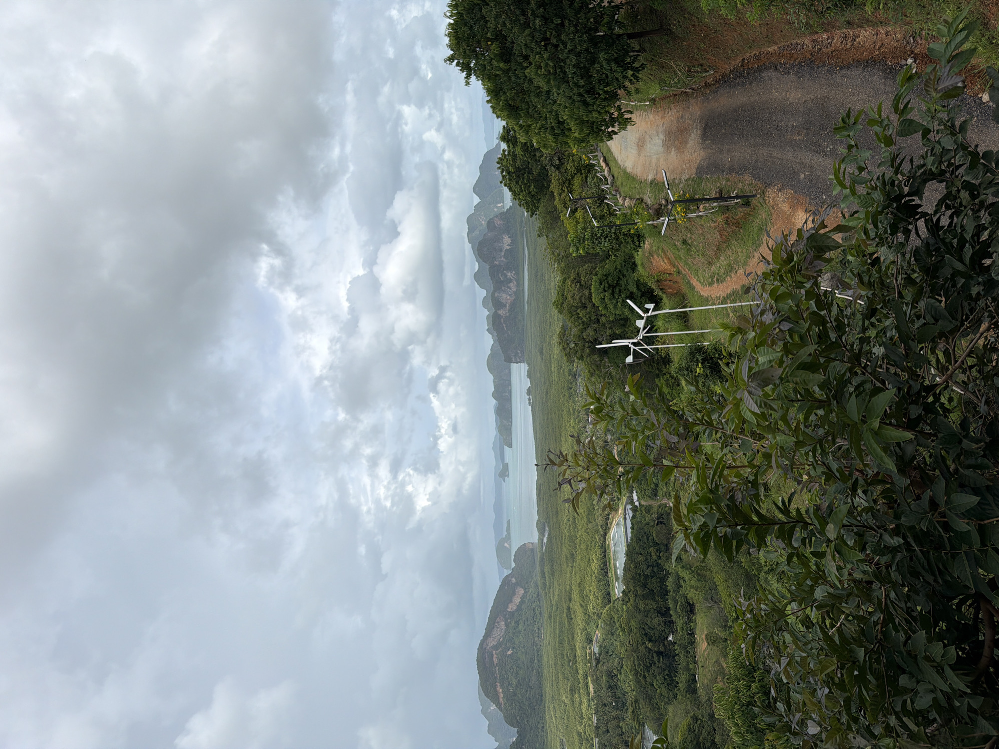 The image depicts a scenic view from a hilltop overlooking a bay in Ban Hin Rom, Thailand. In the foreground, lush green foliage obscures the bottom of the frame. A dirt road curves from the right side of the image upwards, with a few small wind turbines visible on the left side near the road. The road is lined with lampposts and rocky borders.
Beyond the foreground, a vast expanse of green forest covers rolling hills. In the mid-ground, there are several rectangular bodies of water, likely aquaculture ponds, surrounded by trees. The bay stretches out in the background, dotted with numerous limestone karst islands of varying sizes, some with sheer cliffs. The water appears calm and is a muted blue-green. The sky is overcast with heavy, grey clouds, suggesting a cloudy or potentially rainy day. The overall impression is of a natural, tropical landscape with some human infrastructure integrated into it.