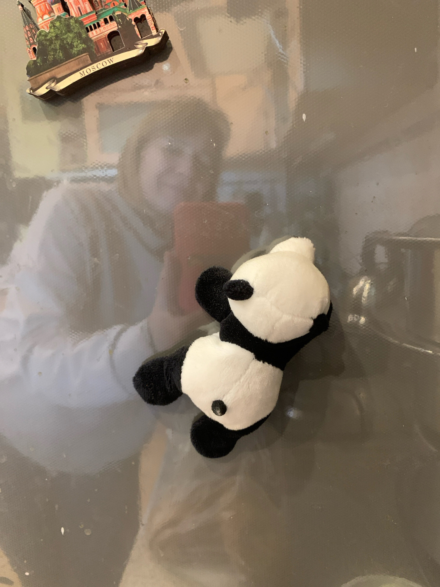 A stuffed panda toy is attached to a refrigerator door, its black and white plush body partially obscuring a reflection of a person holding a phone. Above the panda, a magnet depicts the St. Basil's Cathedral in Moscow. The refrigerator door is a glossy, reflective surface, showing smudges and dust particles. The scene appears to be indoors, likely in a kitchen. The image is taken from a slightly elevated angle. The reflection of the person suggests they are taking the photograph.