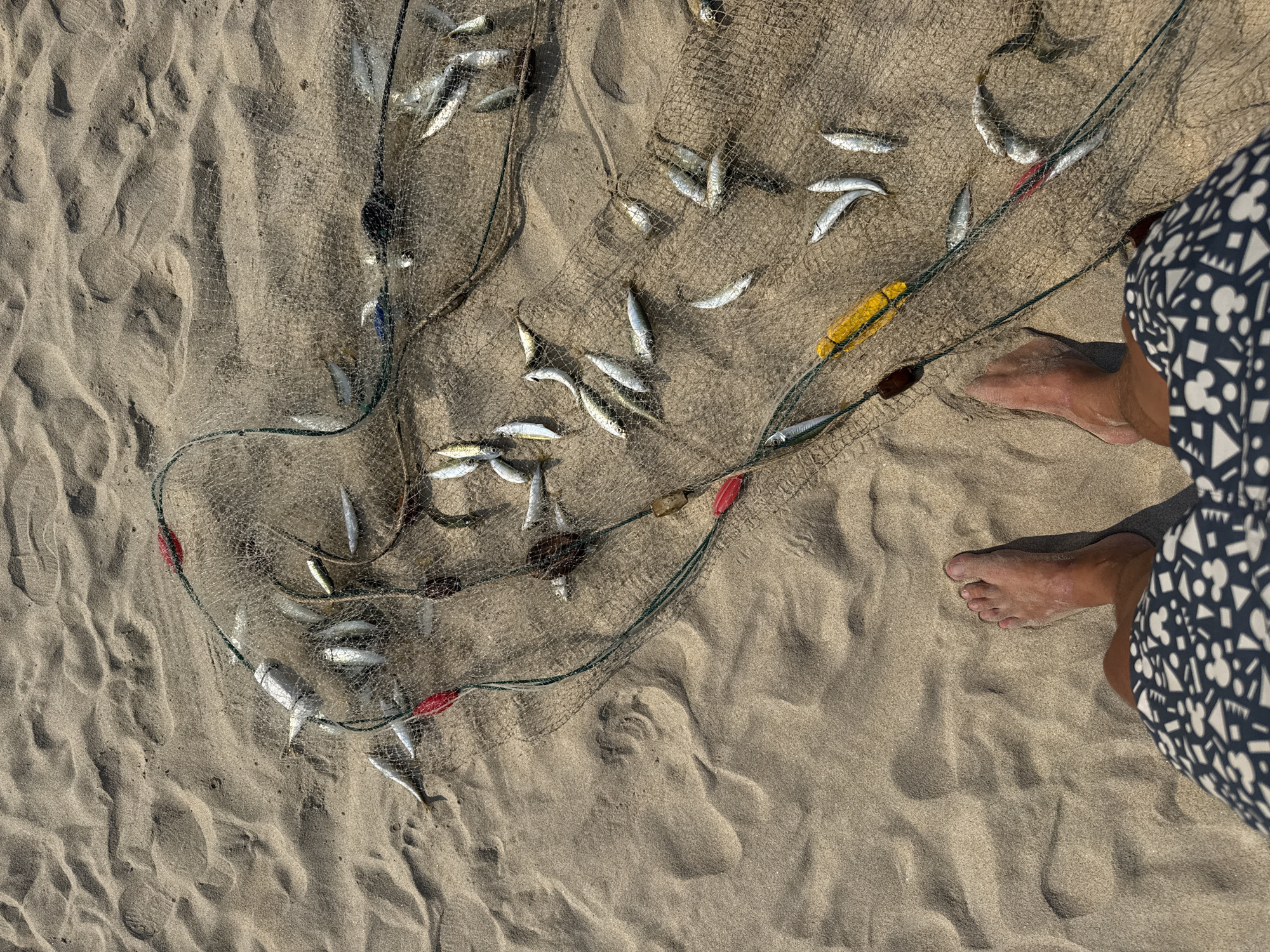 An overhead, first-person perspective photograph, taken on a sandy beach in Đà Nẵng, Vietnam, captures the lower legs and bare feet of an individual standing on sunlit, rippled sand. The individual wears dark blue swim trunks patterned with light-colored geometric shapes including stylized Mickey Mouse head silhouettes, triangles, and squares. A fishing net with a fine mesh is spread across the sand, containing and surrounded by a substantial quantity of small, silver-colored fish, consistent with sardines or similar species, which appear to be freshly caught and lifeless. The net is equipped with several cylindrical floats: multiple red and brown floats, and one prominent yellow float. The environment is characterized by soft, light-colored sand with visible textures and shadows indicating bright sunlight.