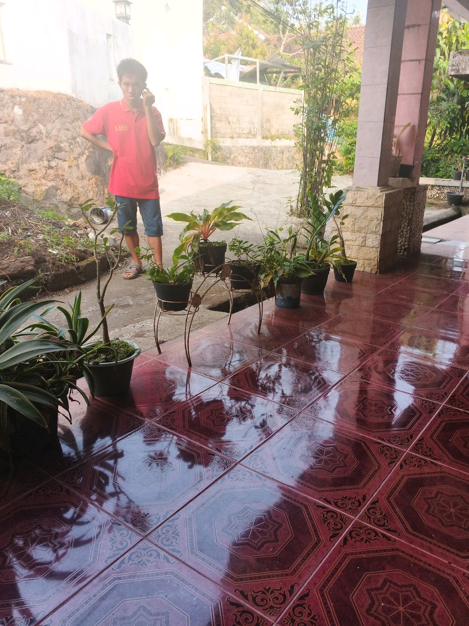 In Keji, Indonesia, a young man in a red polo shirt and denim shorts stands on a walkway in front of a building. He is holding a phone to his ear and appears to be engaged in a conversation. The walkway is tiled with dark red tiles featuring a repeating geometric pattern. Several potted plants are visible, including a tall, slender plant in a dark pot to the left, and a cluster of plants on a metal stand to the right. The background shows a stone wall, a building with a white facade, and lush green vegetation. Sunlight illuminates the scene, casting reflections on the wet tiles. The environment suggests a residential or semi-public outdoor space.