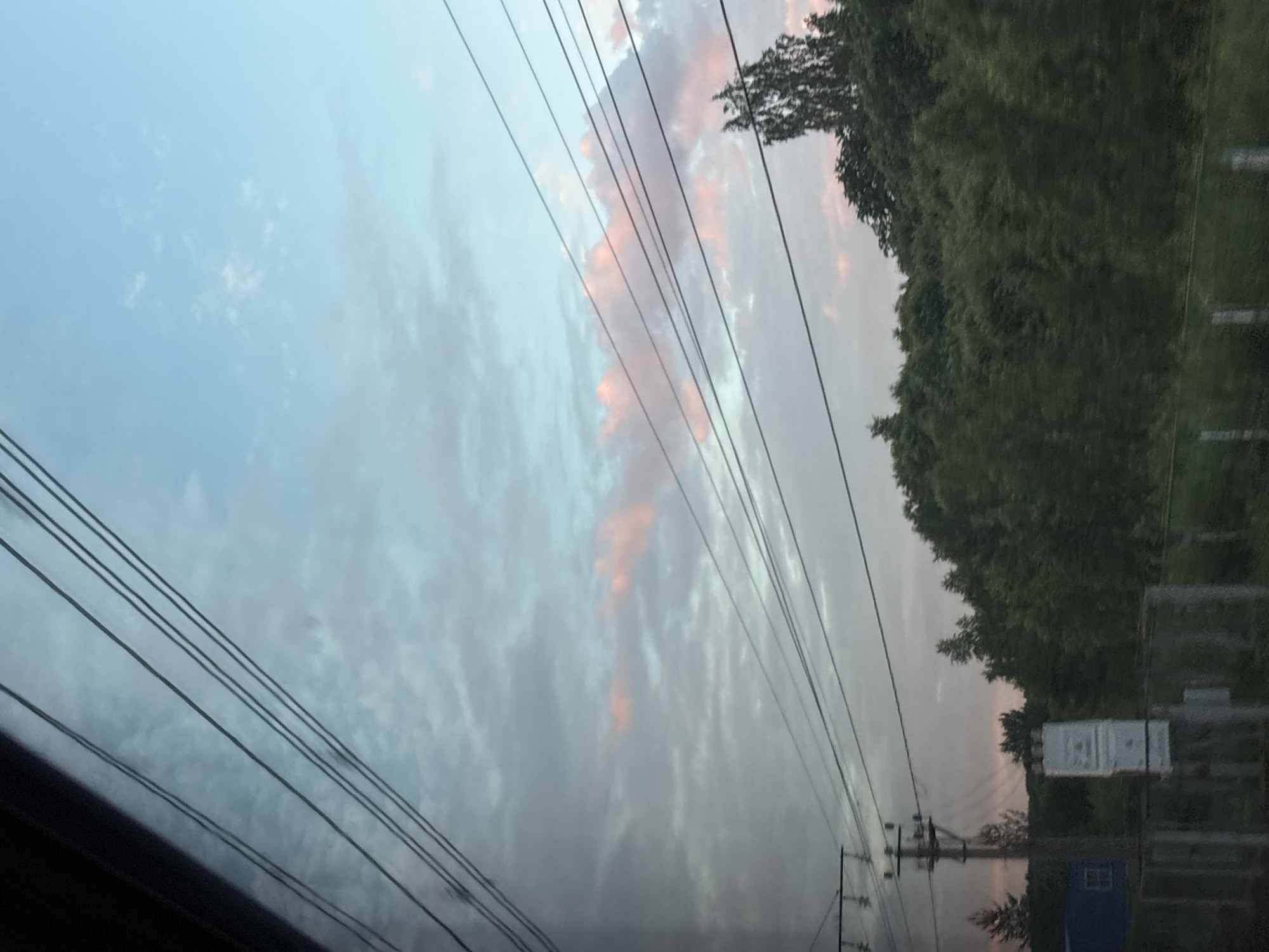 The image captures a view from a moving vehicle, likely a train, looking out at a rural landscape under a twilight sky. In the foreground, several black power lines stretch diagonally across the frame, obscuring parts of the sky and landscape. A dark, blurred area on the left suggests the interior of the vehicle.
The sky is a pale blue, with wispy, light gray clouds interspersed with streaks of soft pink, indicating either sunrise or sunset. A distinct cluster of pink clouds is visible in the upper right portion of the sky.
Below the sky and power lines, a dense line of dark green trees forms a natural barrier across the middle ground. The trees are varied in height and texture, suggesting a mixed forest or a line of dense foliage. Silhouetted against the sky and trees are a few taller, sparser trees, including one with a distinctive branching pattern in the upper right.
In the lower left of the image, a blue building with a window is partially visible behind the power lines and trees. To the right of the building, a tall, dark utility pole with crossbars stands prominently, supporting more power lines. Adjacent to the utility pole is a white rectangular structure, possibly a sign or a piece of equipment, mounted on a grey concrete base. The very bottom of the image shows hints of a fence and more greenery, further suggesting a roadside or rail-side setting.
The overall impression is one of a tranquil, perhaps slightly melancholic, twilight scene in a rural or semi-rural setting. The location in the city of Торбино, Russia, is noted, implying this scene is representative of the outskirts or countryside surrounding that area.