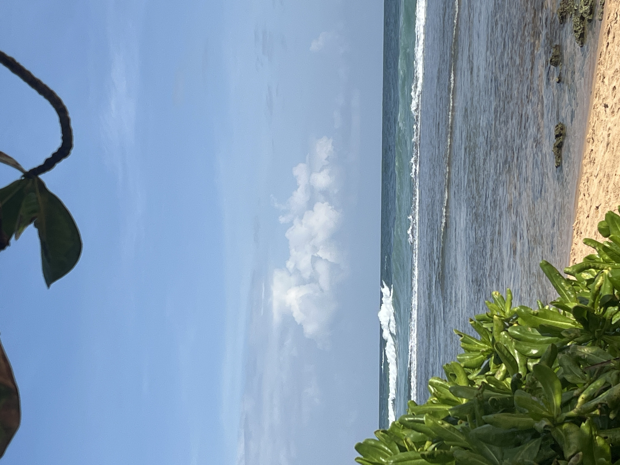 This image depicts a serene beach scene in Hikkaduwa, Sri Lanka. In the foreground, lush green foliage occupies the left side of the frame, partially obscuring the sandy shore. The beach transitions into clear, shallow water, revealing scattered rocks and a sandy seabed. Further out, the ocean displays gentle waves with white crests, indicating calm seas. The horizon is marked by the meeting of the turquoise water and a pale blue sky dotted with soft, white clouds. The upper portion of the image is framed by the dark branches and green leaves of a tree, suggesting the viewpoint is from beneath its canopy. There are no people or animals visible in the scene.