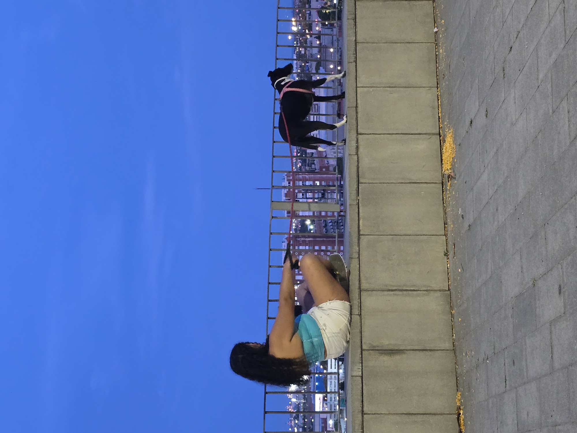 In an urban setting at dusk, a young woman with long, dark hair sits on a low concrete wall, facing away from the camera. She wears a turquoise top and white shorts, and appears to be holding a resistance band, engaged in a seated exercise. To her right, a black and white dog, wearing a pink harness, stands on the same wall, facing away from the woman and towards the city lights. The dog is on a leash, the red cord of which extends towards the woman. Behind the wall, a cityscape is visible with buildings and illuminated windows. A metal railing runs along the top of the wall. The sky is a deep blue, indicating the transition from day to night. The ground in the foreground is paved with square tiles, with scattered yellow debris, possibly food scraps, near the wall. The scene suggests an outdoor recreational activity overlooking the city.