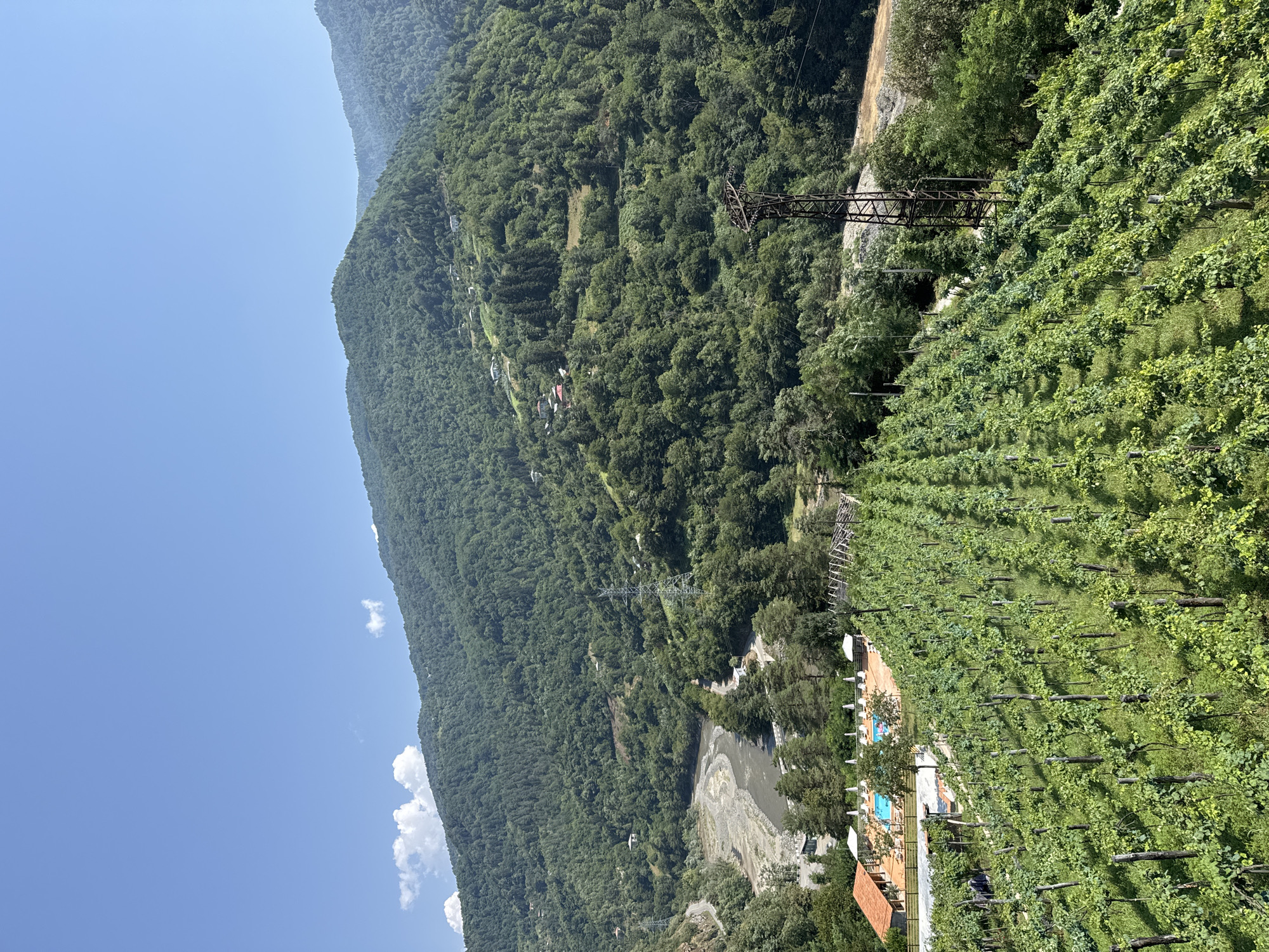 This is a high-angle, wide shot of a lush, green landscape in Tibeta, Georgia. In the foreground, rows of grapevines stretch across the hillside, their leaves a vibrant green under the clear blue sky. Beyond the vineyard, a resort area is visible with a swimming pool, lounge chairs, and some buildings with red-tiled roofs. A river winds its way through the valley, its banks lined with trees. The background is dominated by rolling, tree-covered mountains, their slopes dotted with small houses. A tall, metal electricity pylon stands prominently in the mid-ground. The scene appears peaceful and idyllic.