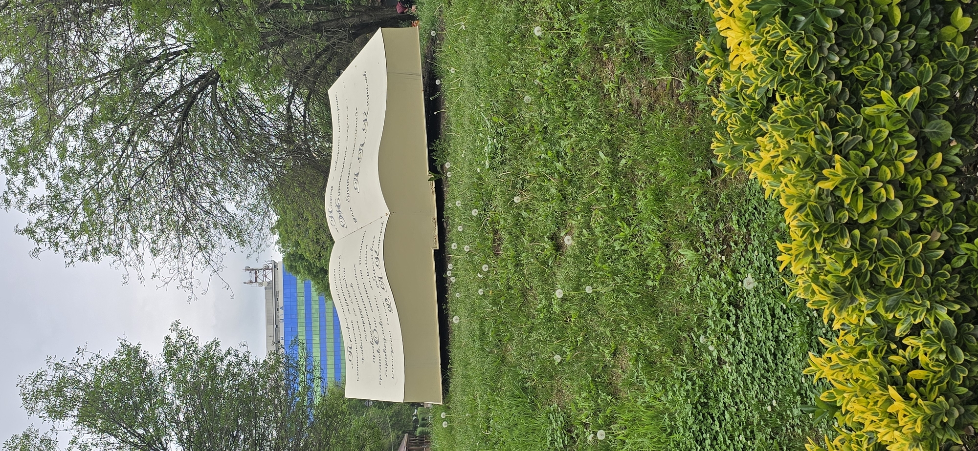 Here is a description of the image:
**Scene:**
The image shows an outdoor setting in the city of Grozny, Russia, featuring a large, open book sculpture placed on a grassy lawn. The book is beige and contains Cyrillic text on its pages.
**Environment:**
The surrounding environment is characterized by lush greenery, including trees and a dense hedge with two-toned yellow and green leaves. Dandelions are scattered across the lawn.
**Objects:**
In the background, there's a building with blue-green glass panels and communication towers visible above the treeline. A pathway or steps are also partially visible near the bottom of the frame.