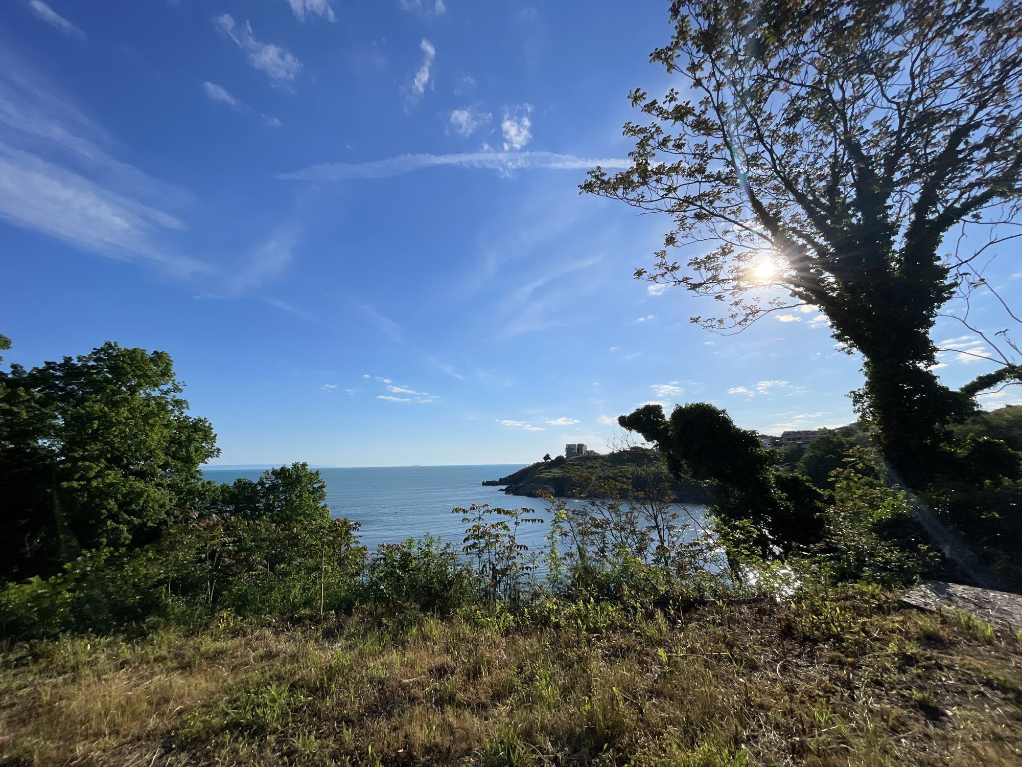 The image depicts a scenic view of the Black Sea from a vantage point in Sozopol, Bulgaria. A clear, blue sky with scattered clouds is visible overhead. The sun shines brightly through the branches of a tree on the right side of the frame, creating a lens flare effect. The sea is calm and reflects sunlight. In the distance, a peninsula with buildings on it juts out into the water. The foreground consists of grass and vegetation, suggesting a natural, uncultivated area.