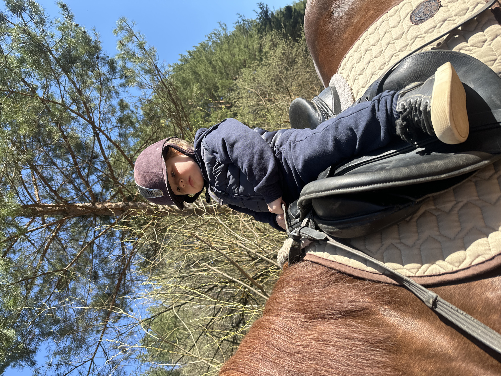 A child is seen lying on a brown horse with a saddle and pad in an outdoor setting. The child, wearing a navy blue jacket, pants, and a helmet, is positioned on their stomach on the saddle. The horse is reddish-brown with short, shiny fur. In the background, there are trees and a clear blue sky. The scene suggests a location in a wooded area, possibly near the city of Русский Вожой, Russia.
