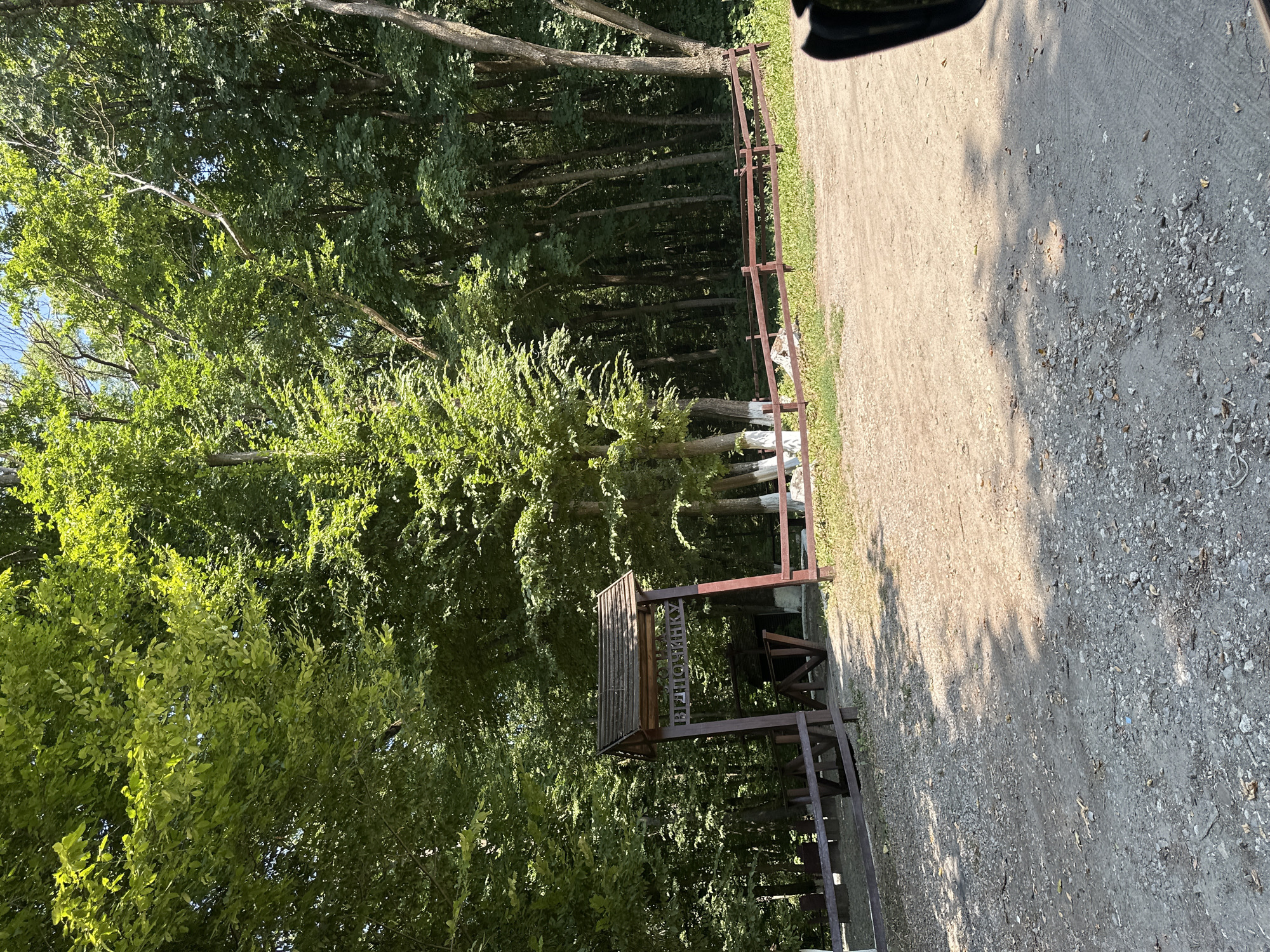 The image shows a wooden archway with a sign above it that reads "КАНЬЙОН" (Canyon) in Ukrainian. The archway is located at the entrance to a natural area, likely a park or a tourist attraction, surrounded by lush green trees. A wooden fence runs along the right side of the pathway leading to the archway. The ground is covered with gravel and dirt, with some fallen leaves scattered around. In the background, the dense forest creates a deep green canopy. The overall scene suggests a warm, sunny day in a rural or semi-natural setting. The location is identified as Shatava, Ukraine.