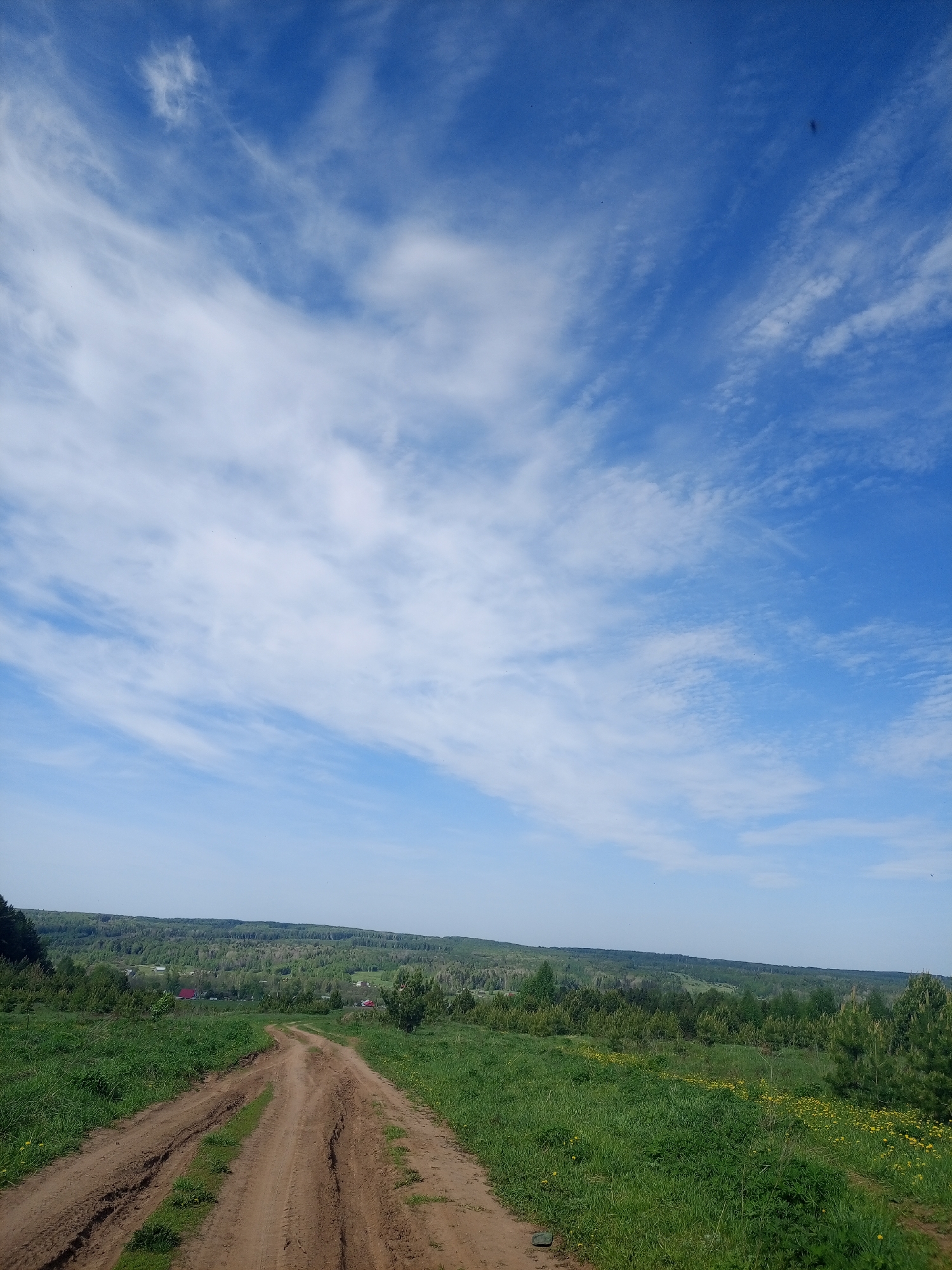 The image depicts a dirt road leading into a rural landscape. The road is rutted and appears to have been used recently by vehicles. The surrounding terrain consists of green fields with scattered yellow wildflowers and small trees. In the distance, a line of trees marks the horizon, and a few structures resembling houses are visible. The sky is bright blue with wispy white clouds. The location is specified as the city of Ural'skoe, Russia, although there are no visible markers to confirm this location within the image itself.