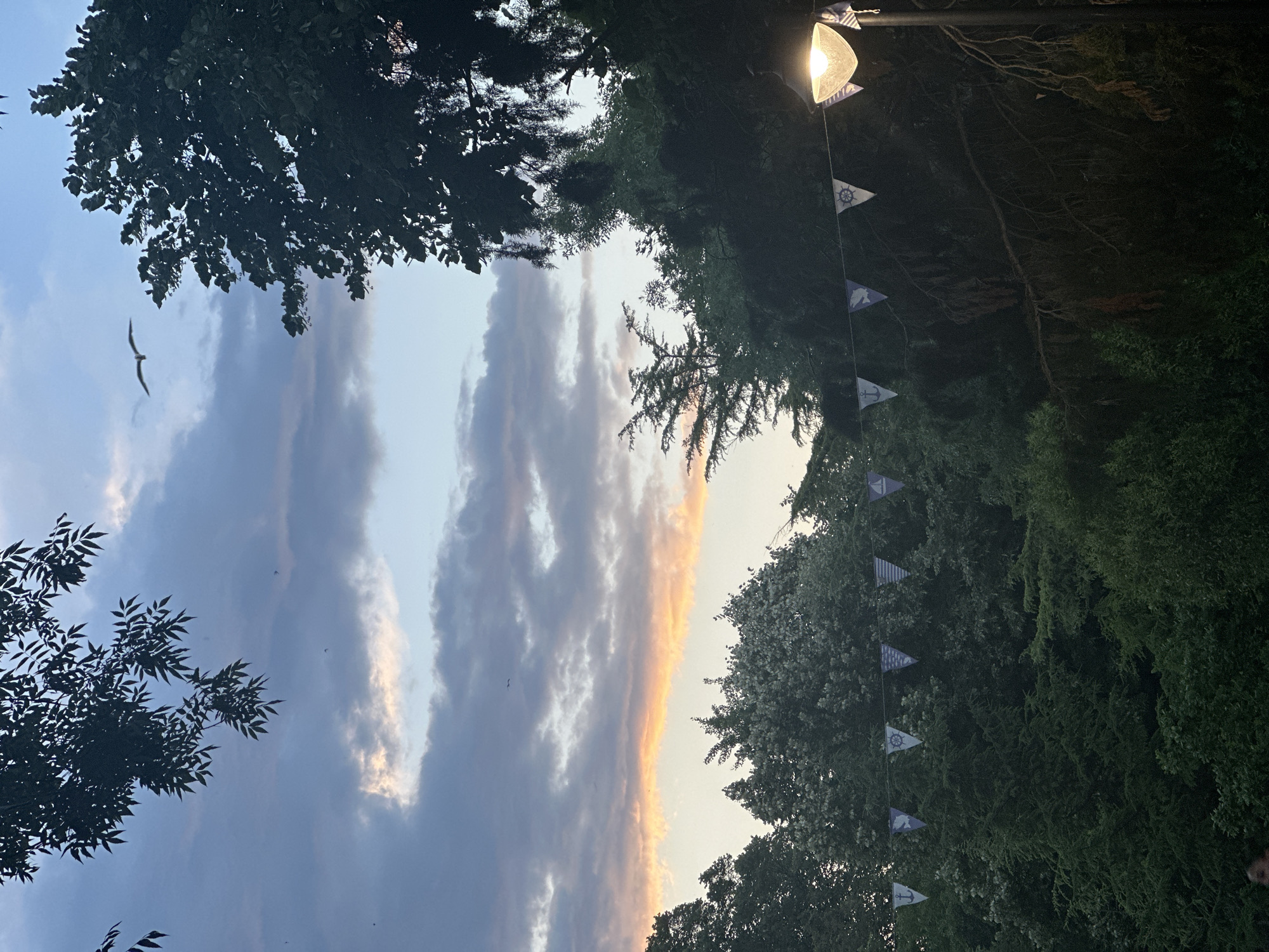 A dusky sky with scattered clouds, some illuminated by the setting sun with an orange hue, forms the backdrop to a park-like setting in Burgas, Bulgaria. Silhouetted trees with dense foliage frame the scene, with branches from deciduous trees hanging from the top left. A lone bird is visible in flight against the sky. A string of triangular pennants, each adorned with a nautical symbol such as an anchor or a ship's wheel, is strung across the middle ground, partially obscured by trees. A vintage-style lamppost with a lit bulb stands on the right, casting a warm glow on the scene. The overall impression is one of a peaceful evening in a natural setting within the city.