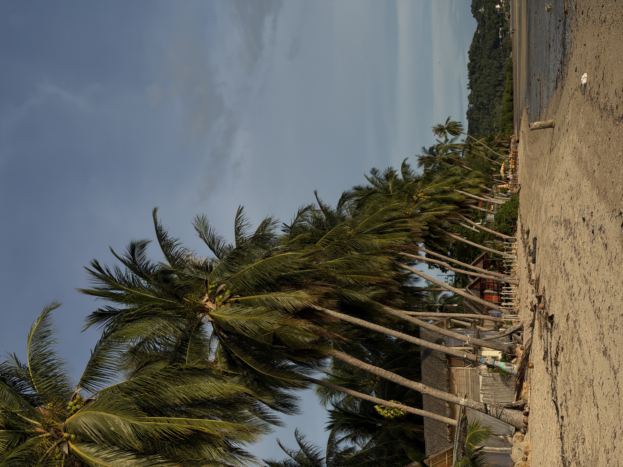 A sandy beach stretches into the distance, lined with numerous tall palm trees whose fronds sway gently in the breeze. The sand is a light brown, with some scattered debris, including a piece of white plastic near the water's edge. In the background, a lush green hillside covered in dense vegetation rises, dotted with a few buildings. The sky is a pale blue with wispy white clouds. The scene appears to be a tropical beach on a bright, possibly late afternoon, day. The orientation of the image suggests it may have been taken in landscape mode and rotated. The overall mood is serene and natural, characteristic of a tropical getaway.