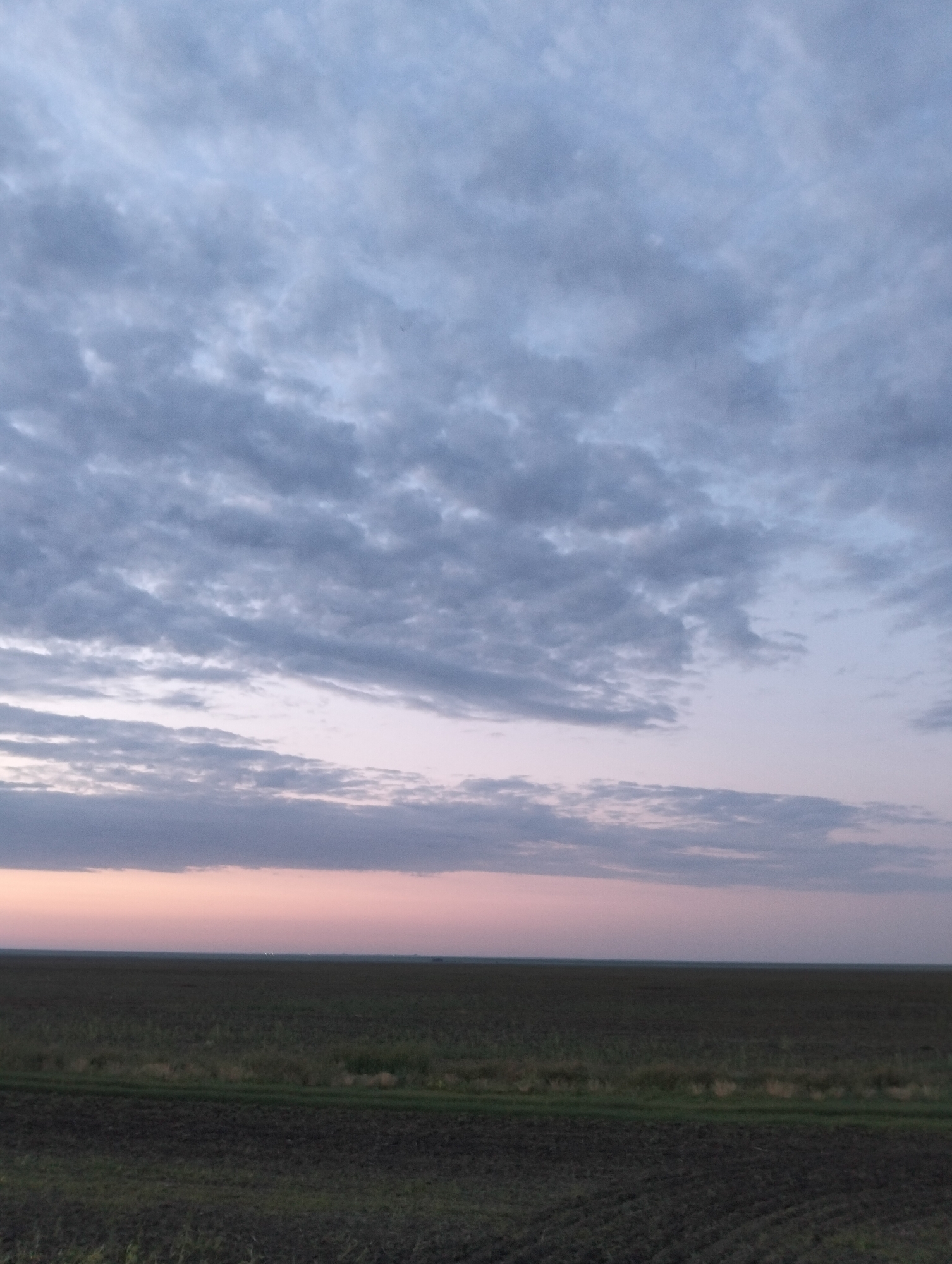 The image depicts a wide, flat landscape under a cloudy sky, likely at dawn or dusk, given the soft hues of pink and pale purple along the horizon. The foreground is an agricultural field, with areas of tilled earth showing distinct rows, and patches of green vegetation. A narrow band of grass separates this field from a larger expanse of dark, cultivated land stretching towards the horizon. The sky is filled with dense, textured clouds in shades of grey and white, with hints of blue visible through breaks. The horizon line is sharp and clear, with no prominent structures or features except for what appear to be distant lights on the far horizon. The scene is devoid of any people or animals. The location is described as a field in the city of Titov, Kazakhstan.