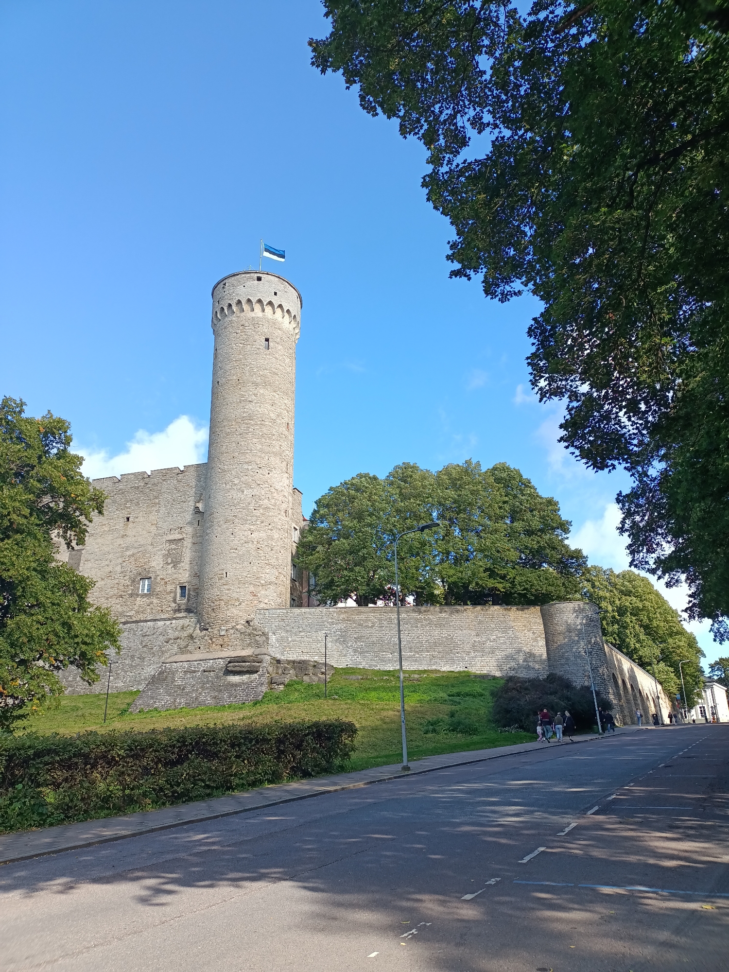 This is a ground-level, outdoor, medium-angle, eye-level shot of a stone tower and castle wall in Tallinn, Estonia, on a clear, sunny day. The tower, which appears to be part of Toompea Castle, is cylindrical and made of light-colored stone, with a flag flying from its top. The flag is blue, black, and white, indicating it is the Estonian flag. The castle wall is also made of stone and stretches along a grassy slope. Several trees with lush green foliage are visible, with one large tree on the right framing the shot. In the foreground, there is an asphalt road with white dashed lines, suggesting it is a street or parking area. A sidewalk runs alongside the road, bordered by a manicured hedge. A few people are visible walking on the sidewalk and near the castle wall. The sky is a clear blue with a few wispy white clouds.