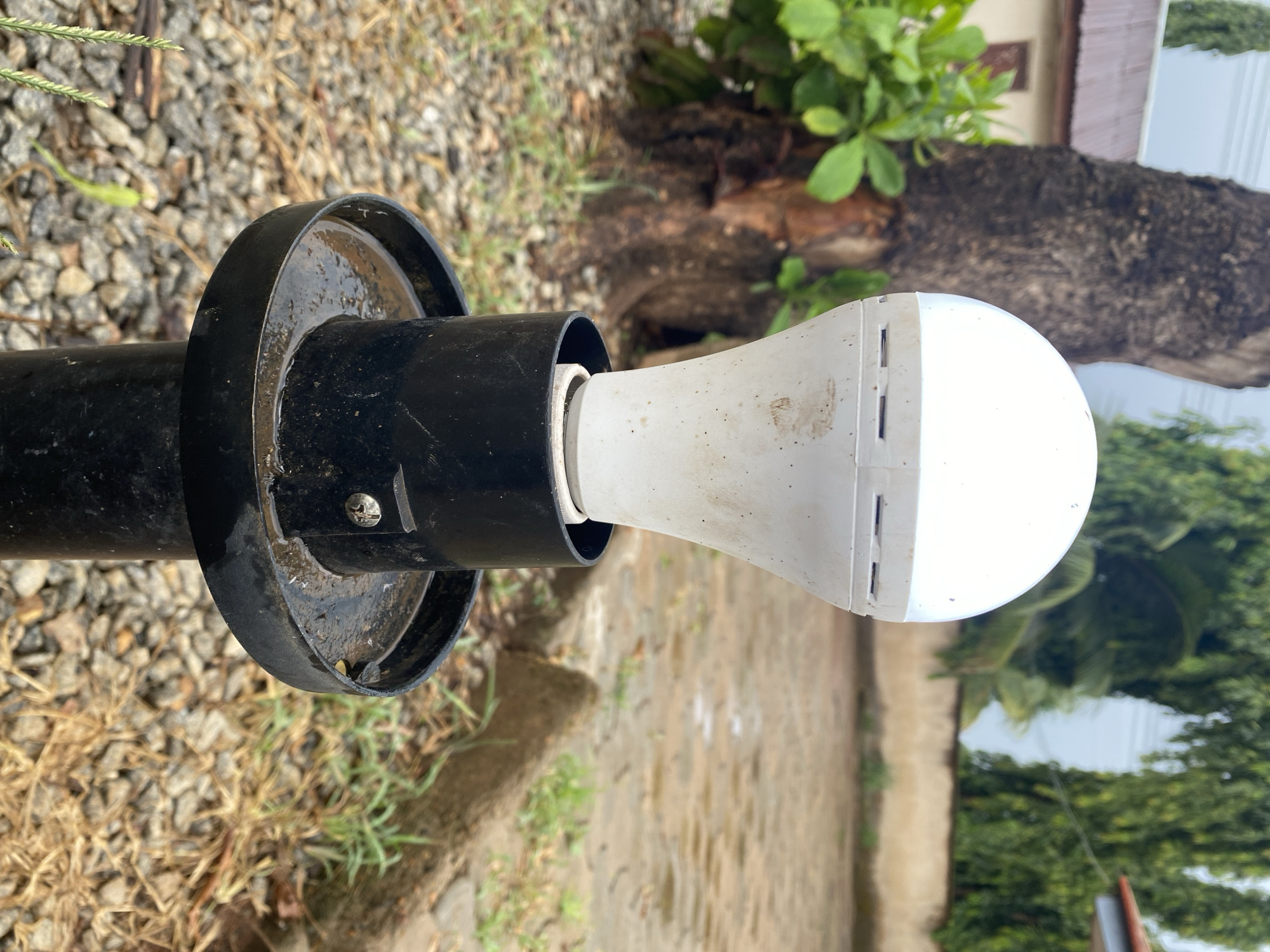A close-up captures a lightbulb fixture. The fixture consists of a black pipe connected to a round, slightly tarnished base, holding a white LED lightbulb. The background includes a patch of small pebbles and sparse dried grass on the left. Behind the fixture, there's a section of a tree trunk covered with green plants. Further in the background, the scene shows a wall, more green vegetation, and foliage suggesting a natural environment. The location, as specified, is Maigizo, Nigeria, however, the scene lacks specific contextual elements to visually confirm it.