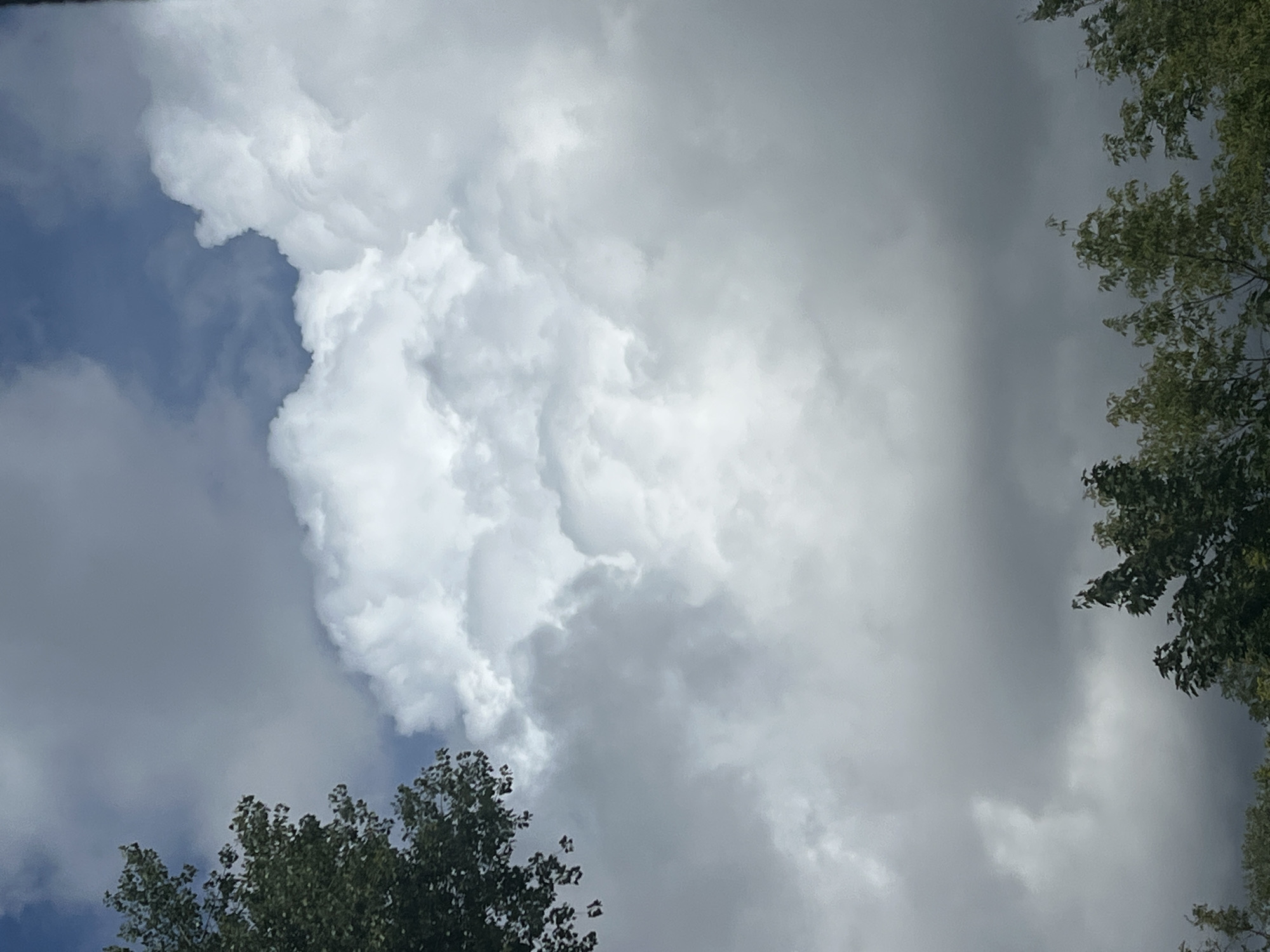 The image depicts a sky with dramatic cloud formations, some appearing bright white and others dark and overcast. The top left of the image shows a portion of a green tree with dark leaves. The bottom of the image also shows the tops of several green trees. The overall impression is of a dynamic and somewhat moody sky, possibly before or during a storm. The location in Warsaw, Poland is not discernible from the visual information provided.